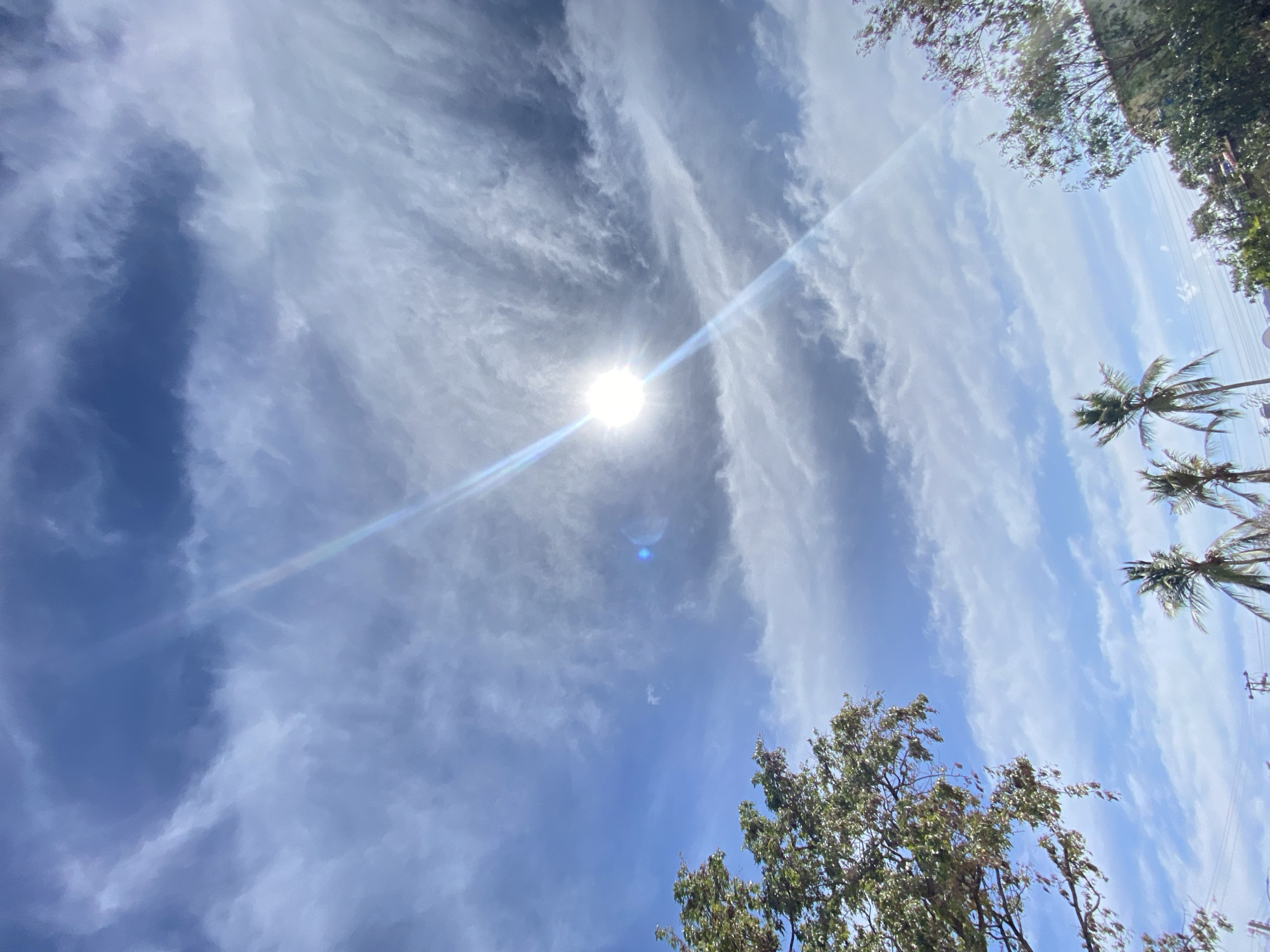 The scene, located in Juan Griego, Venezuela, captures a bright, partly cloudy sky. The majority of the frame is dominated by a blue sky displaying widespread white and grey wispy clouds, characteristic of stratocumulus formations. A brilliant white sun is positioned in the upper right-center, generating a prominent diagonal lens flare that extends downward and left, accompanied by a distinct blue circular lens flare artifact. The upper left quadrant features the dense green canopy of a deciduous tree. In the lower-center and left, three distinct palm trees with visible green fronds extend upwards. The right edge of the frame includes the upper foliage of another tree or shrub. Utility lines and a pole are partially visible at the bottom of the frame beneath the palm trees. No people, subjects, or actions are present.