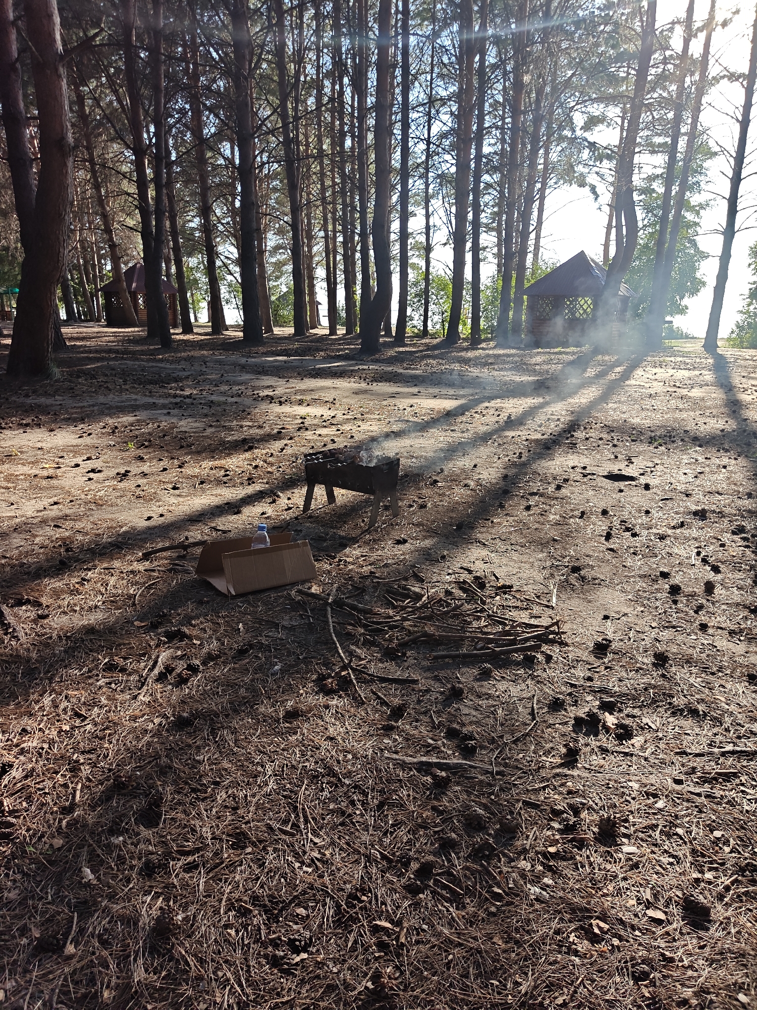 This is a photograph taken in a forest clearing, likely in the vicinity of Корнеев ауылдық округі, Kazakhstan. The ground is covered with a thick layer of pine needles and fallen pine cones, with scattered dry twigs. Sunlight filters through the tall, slender pine trees, casting long, striped shadows across the sandy ground. In the mid-ground, there is a portable barbecue grill with smoke rising from it, suggesting recent or ongoing cooking activity. To the left of the grill, a flattened cardboard box contains a single plastic bottle of water. Further in the background, a small, wooden gazebo with a pitched roof is visible amongst the trees, also emitting a wispy trail of smoke. The overall impression is one of an outdoor recreational area in a pine forest, likely used for barbecues and relaxation.
