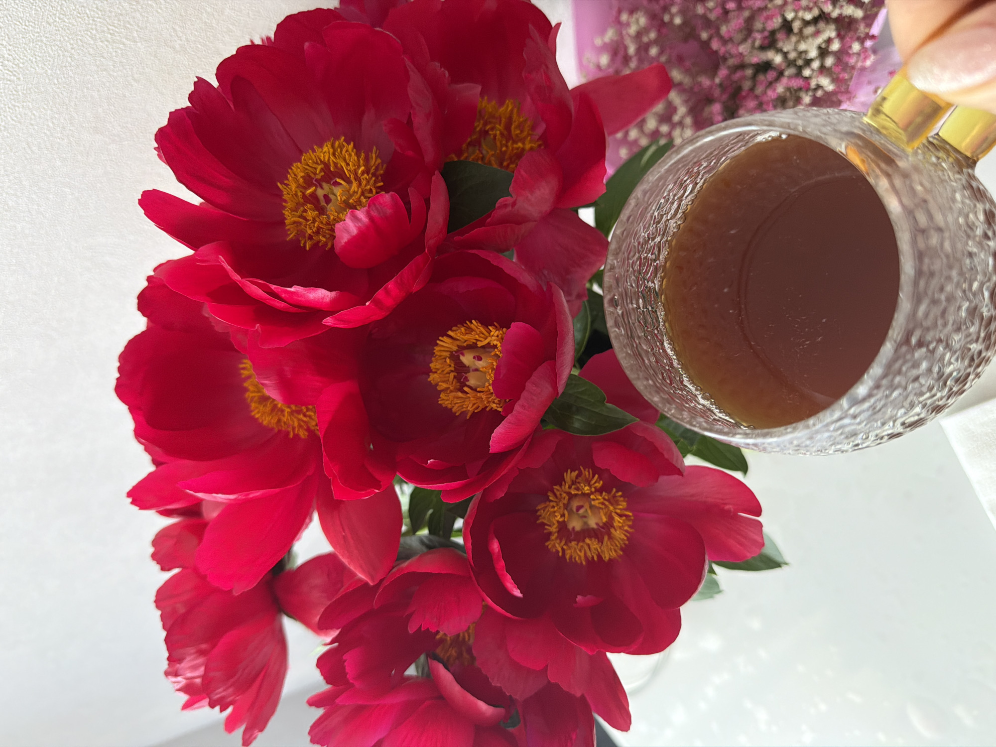 The image displays a close-up, brightly lit indoor scene featuring a vibrant bouquet of red peonies and a glass mug being held.
The primary subjects are a large cluster of deep red peonies, prominent on the left side of the frame. These flowers exhibit rich, velvety petals and striking yellow centers, which are the stamens. Several individual blooms are clearly visible, with some green leaves nestled between them, indicating a fresh bouquet.
To the right, a person's hand, with neatly manicured, light-colored fingernails, gently holds a clear glass mug. The mug has a textured, patterned surface and a distinct gold-colored handle. It contains a dark amber-colored liquid, consistent with tea or coffee. The hand and mug are positioned slightly above and to the right of the floral arrangement.
The background on the left is a simple, light-colored, textured wall or surface, providing a clean contrast to the vibrant red flowers. In the upper right portion of the image, a blurred arrangement of small purple or pink flowers, possibly heather or baby's breath, is visible, adding subtle color and depth. A clean white surface, likely a tabletop, can be seen in the lower right.
The overall lighting is bright and natural, suggesting it is daytime. The image evokes a serene and aesthetically pleasing moment, perhaps a morning or afternoon break. The setting appears to be a domestic interior. No visible text is present in the image. The location context for this scene is Chaikovsky, Russia.