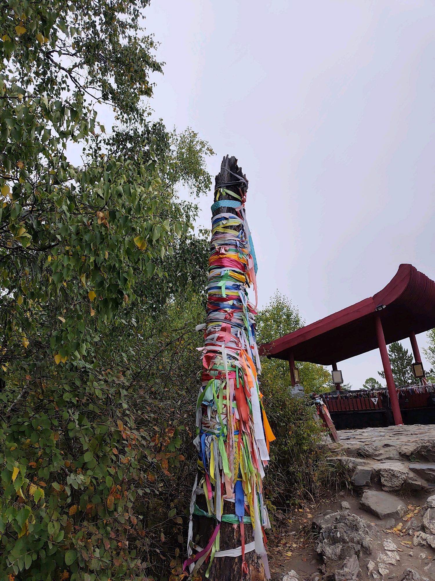 In Nikola, Russia, a wooden post adorned with numerous colorful ribbons stands prominently in an outdoor setting. The ribbons, in shades of pink, yellow, green, blue, orange, and white, are tied around the post at varying heights, creating a vibrant and festive appearance. The post itself is rough and weathered, suggesting it has been in place for some time.
To the left of the post, dense green foliage from trees and bushes partially obscures the view. The leaves are a mix of green and some exhibiting autumnal yellows and oranges, indicating the season might be late summer or early autumn.
In the background, to the right of the post, a red, pagoda-style structure with a curved roof is visible. This structure appears to be a shelter or a pavilion, supported by red pillars. The area around the structure is paved with stones and rocks, suggesting a pathway or a viewing area. Beyond the red structure, more trees and the sky, which is overcast and pale gray, can be seen. The ground in the foreground is uneven, covered with dirt, scattered leaves, and rocks. There are no people visible in the image.
