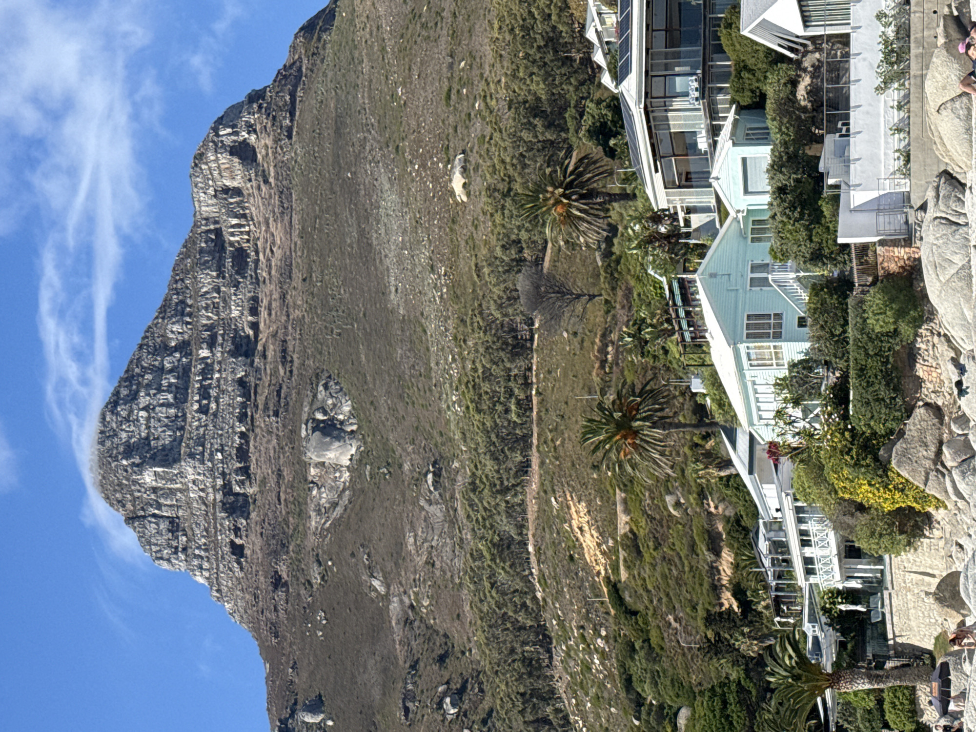 The image displays a sunny coastal landscape in Cape Town, South Africa, featuring Lion's Head mountain as the dominant background element. The mountain's summit is a rugged, layered rock formation with a wisp of white cloud touching its peak. Its slopes are covered in sparse, dry vegetation and scattered boulders, transitioning to denser green foliage and a band of evergreen trees further down. In the midground, a residential area is visible, composed of multiple houses built into the hillside. Architectural styles vary, including modern multi-story homes with large glass windows and rooftop solar panels, and traditional single-story structures painted light blue with white trim. These properties are set amidst lush green vegetation, including several palm trees. The foreground reveals a rocky beach with numerous light-colored boulders and patches of sand. On the beach, two individuals are partially visible under a dark beach umbrella to the left, and another individual is seated or reclining on the rocks to the right, wearing a pink cap. The sky above is clear blue with minimal scattered cirrus clouds.