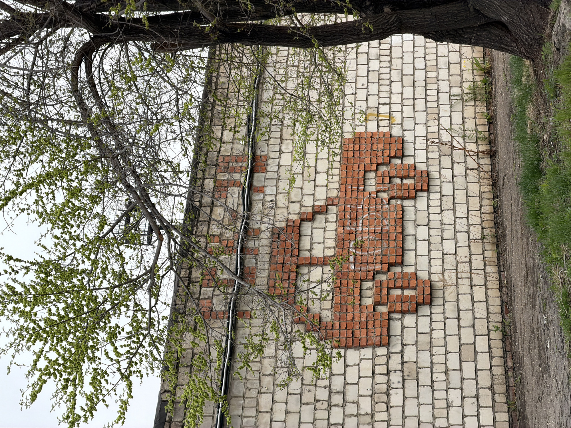 The image shows a brick wall with a pattern of red bricks spelling out letters in Russian. The wall appears to be part of a building in Birobidzhan, Russia. The wall is made of white bricks, and the red brick pattern is set against this background. A tree with fresh green leaves is positioned in front of the wall. Part of a sidewalk is visible to the right of the wall. The photograph is taken from a low angle, looking up at the wall.