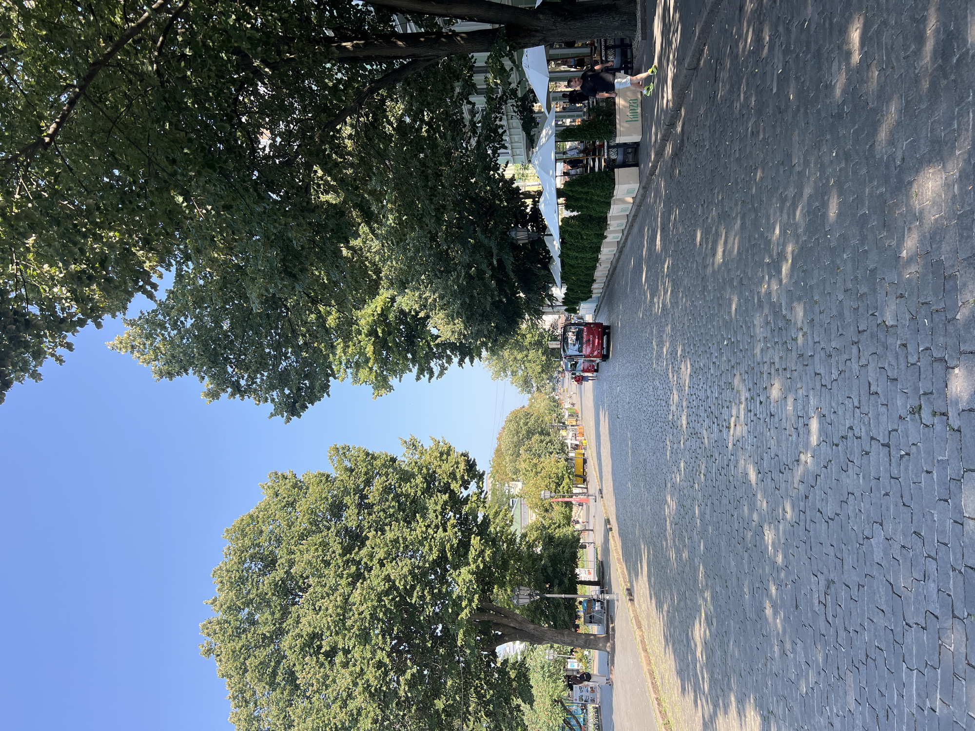 The image captures a cobblestone street in Odesa, Ukraine, on a clear, sunny day. The street is lined with mature trees casting dappled shadows across the stone pavement. On the right side of the street, a row of white umbrellas shades outdoor seating for a restaurant, with neatly potted evergreen shrubs placed between them. The restaurant appears to have outdoor seating with tables and chairs visible. A man in a dark t-shirt and light shorts walks along the sidewalk on the right. In the distance, a few red tourist vehicles are seen on the street, suggesting a bustling area. On the left side of the street, there are more trees, and some people are visible walking and standing near what appears to be an information booth or kiosk. The architecture in the background is consistent with European city buildings. The overall scene depicts a pleasant day in a lively urban environment, likely a popular tourist area or pedestrian zone.