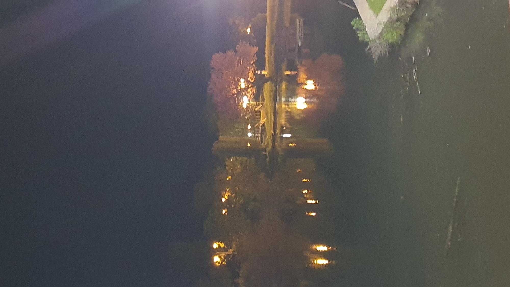 The image shows a nighttime scene of a body of water, possibly a river or lake, reflecting lights from trees and buildings on the opposite bank. The right side of the image shows the shoreline, with some vegetation present. The sky is dark. There are no people visible in the image. The location appears to be an urban or suburban park area. Without further information, it is not possible to identify the city.