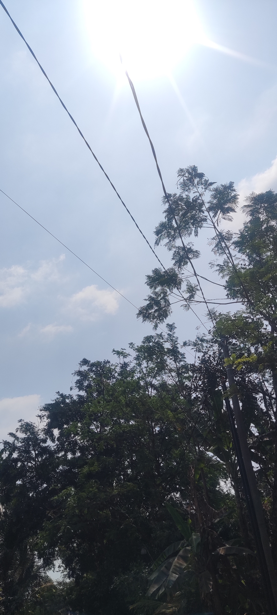 The image captures a bright, sunny day in Panongan Lor, Indonesia, looking upwards towards a clear blue sky with scattered clouds. Two dark electrical wires stretch diagonally across the frame. Dense green foliage from trees, including what appear to be banana leaves in the lower right, dominates the bottom half of the image. The sun is high and bright, creating a lens flare effect and casting a brilliant glow, partially obscuring the top edge of the frame. No people are visible in the image.