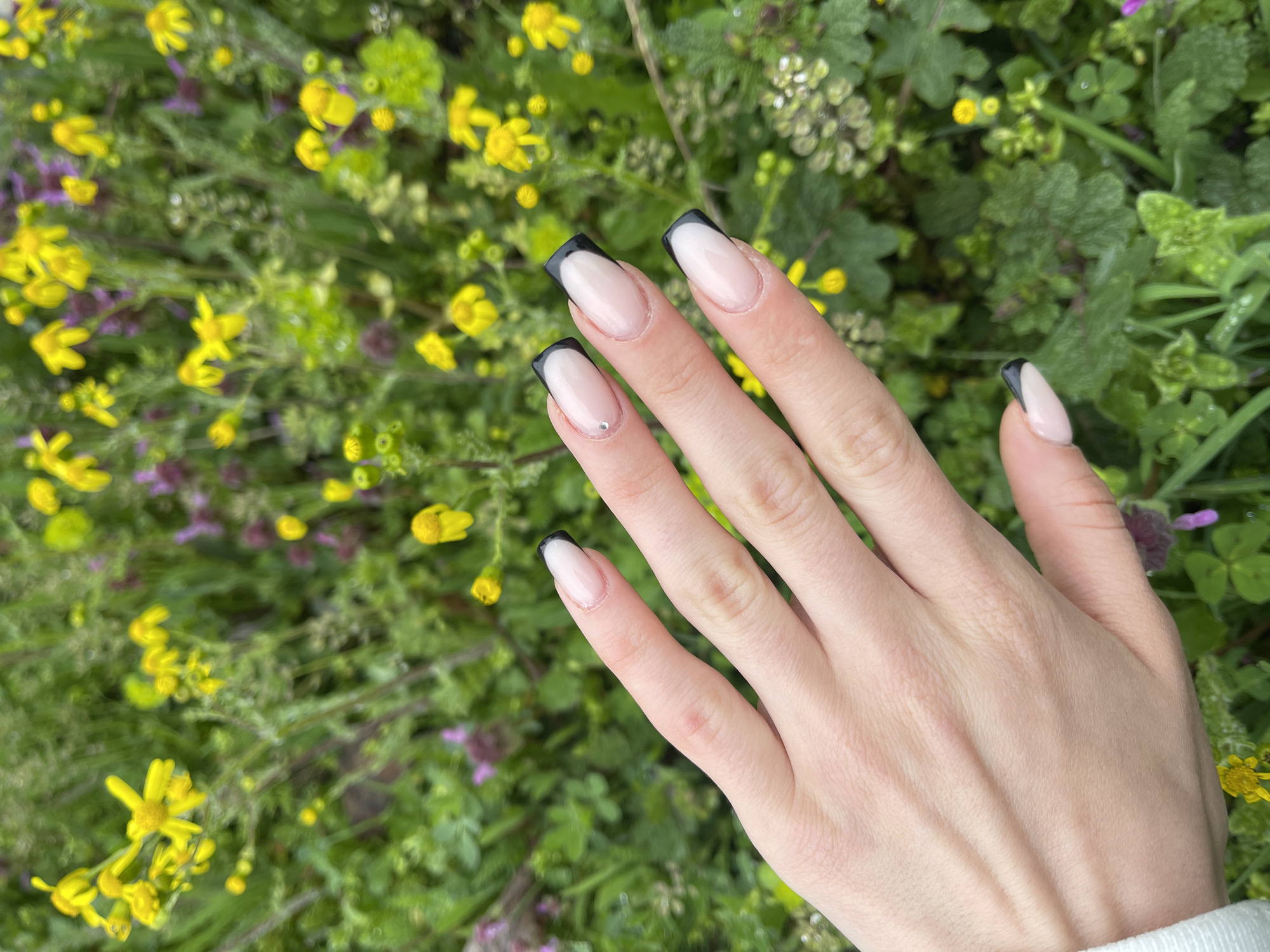 A fair-skinned human hand with long, almond-shaped nails is presented against a backdrop of diverse green foliage and small yellow flowers. The nails are painted with a nude base and a thick, black French tip. The ring finger has a small, circular rhinestone near the base of the nail. The hand is resting on the foliage. There is no direct evidence of location in the city of Veliko Tarnovo, Bulgaria, or any people, subjects, objects, actions or interactions provided to be able to identify.
