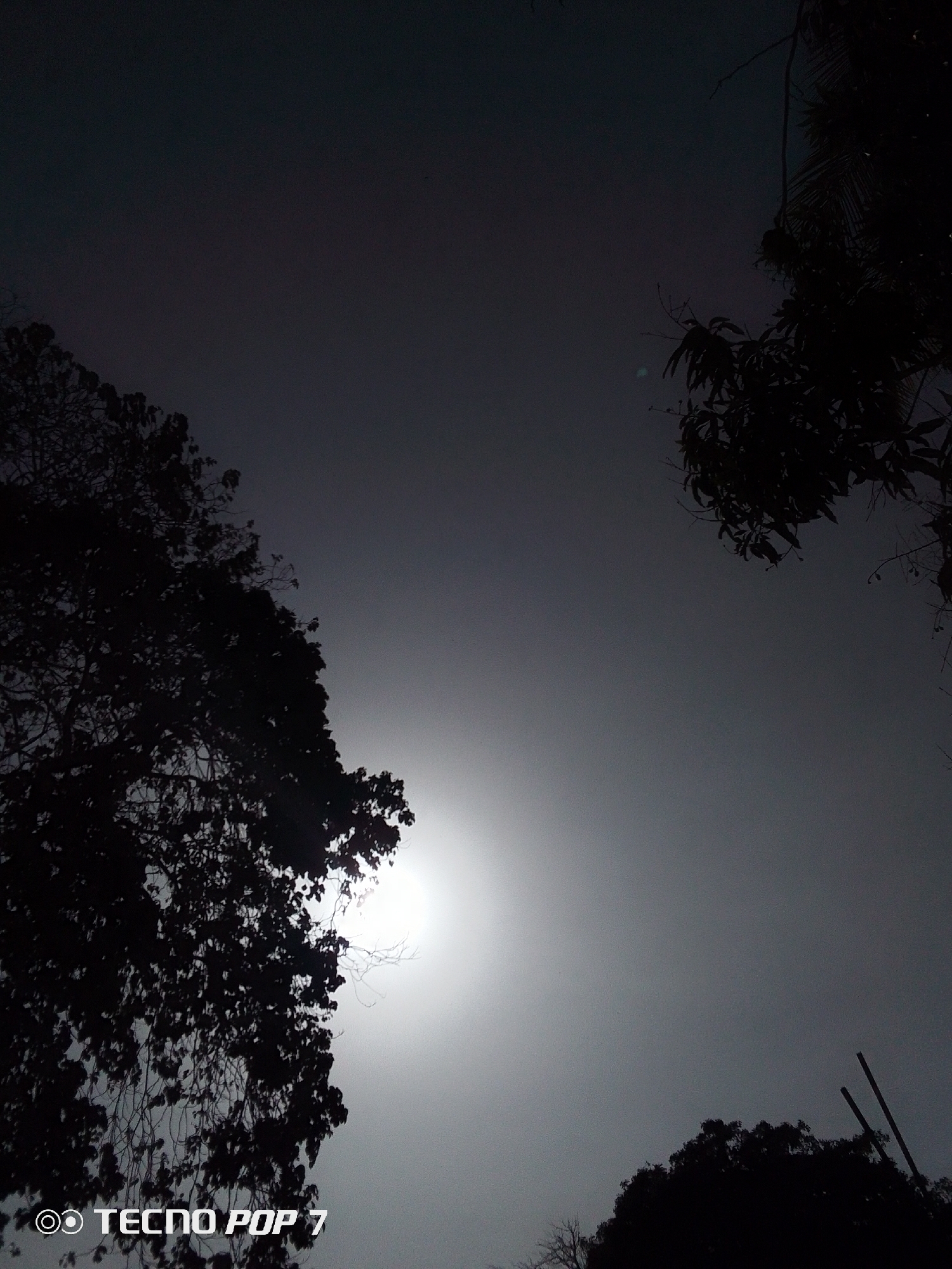 The image depicts a low-angle view of trees silhouetted against a bright, overcast sky. The sun is obscured by the trees, creating a halo effect. The scene includes branches and leaves in the foreground, positioned on the left, upper right, and lower right corners. In the lower left corner is the text "TECNO POP 7". It's difficult to determine the location as Altagracia, Venezuela, based solely on the image content. There are no visible people, specific objects, or clear indicators of actions or interactions within the frame. The environment consists primarily of trees and the sky.