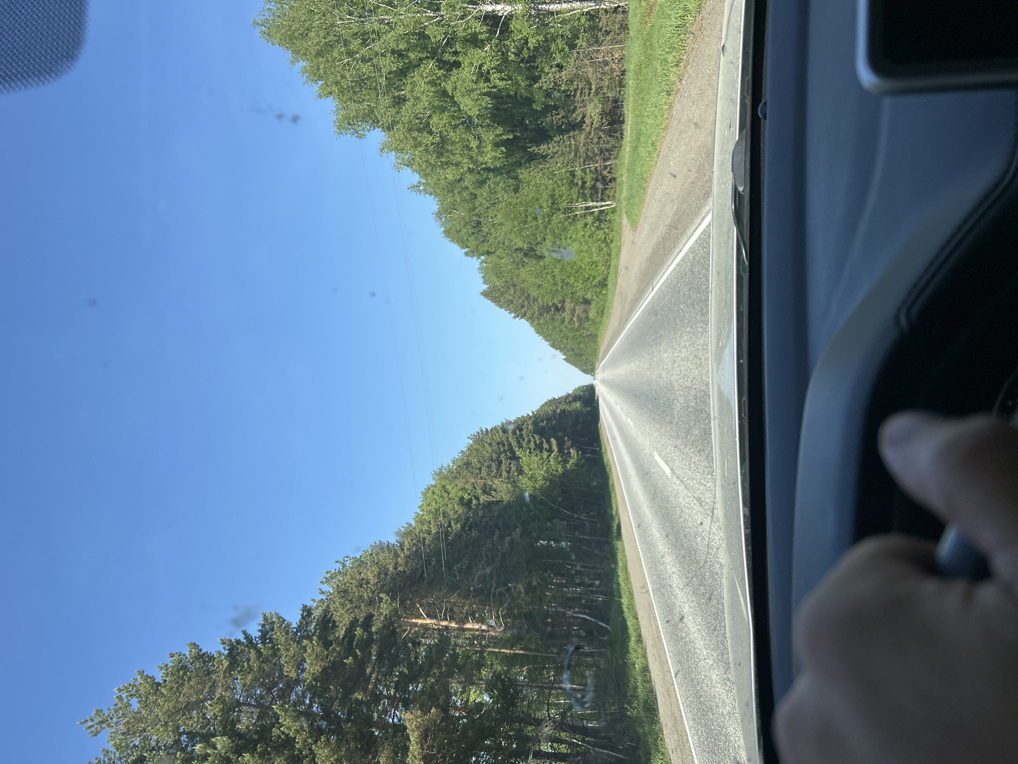 A view from inside a vehicle looking forward onto a straight paved road bisecting a dense green forest under a clear blue sky. The road has a white line marking the edge. A person's hand is visible holding a steering wheel. The location is presumably near or in Iiul'skoe, Russia, given the prompt context.
