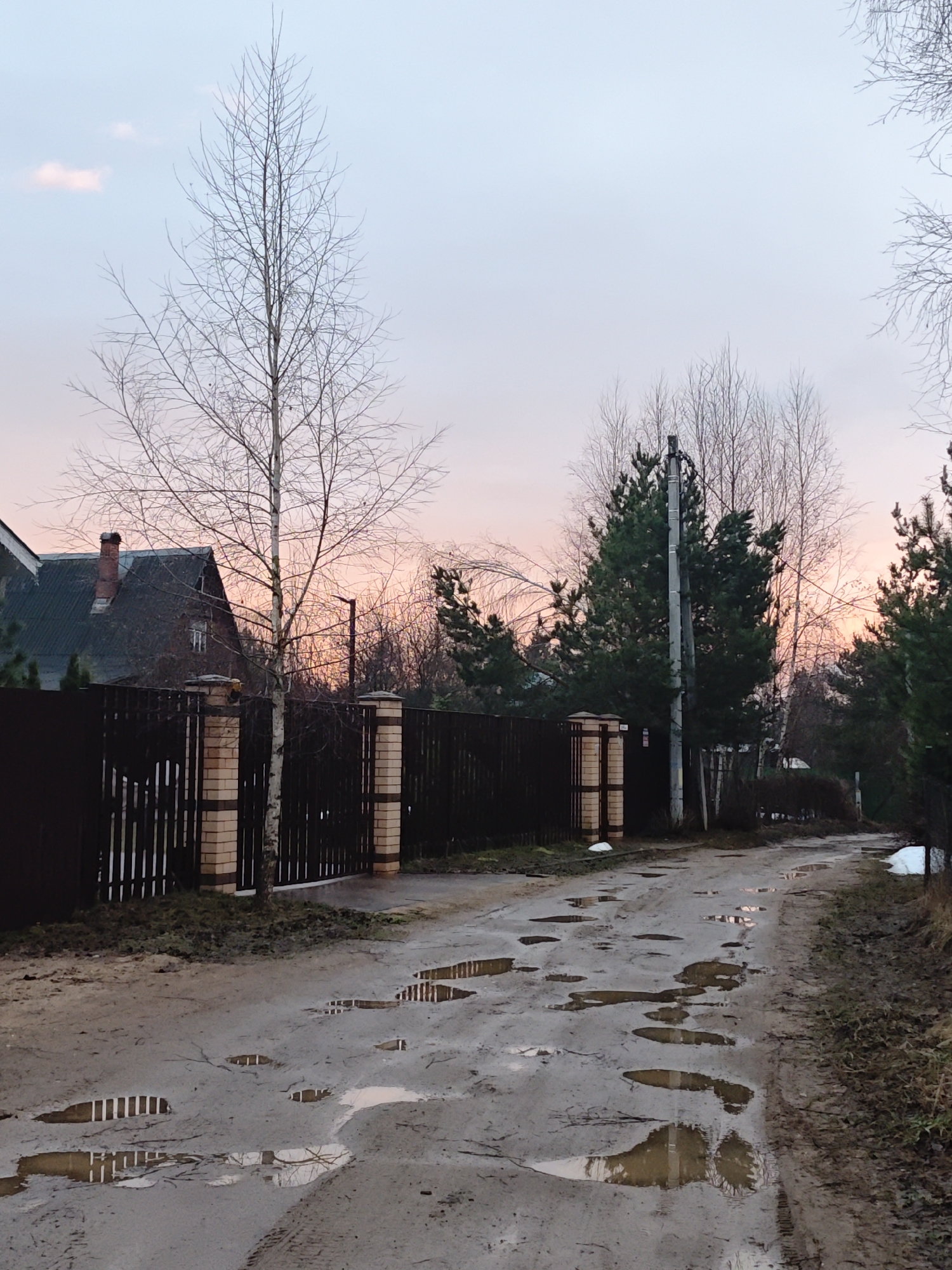 The image depicts a muddy, pothole-filled dirt road in the settlement of Svistukha, Kuzyayevsky S/O, Russia. The road is lined on the left by a dark brown wooden fence with brick pillars, behind which a house with a dark green roof is partially visible. A tall, leafless birch tree stands near the fence. On the right side of the road, there are evergreens and bare deciduous trees. A concrete utility pole with wires is also visible on the right. The sky is a pale pink and blue, suggesting either sunrise or sunset. Puddles of water reflect the surrounding scene. Patches of snow are visible on the right side of the road. The image suggests a rural or suburban environment.