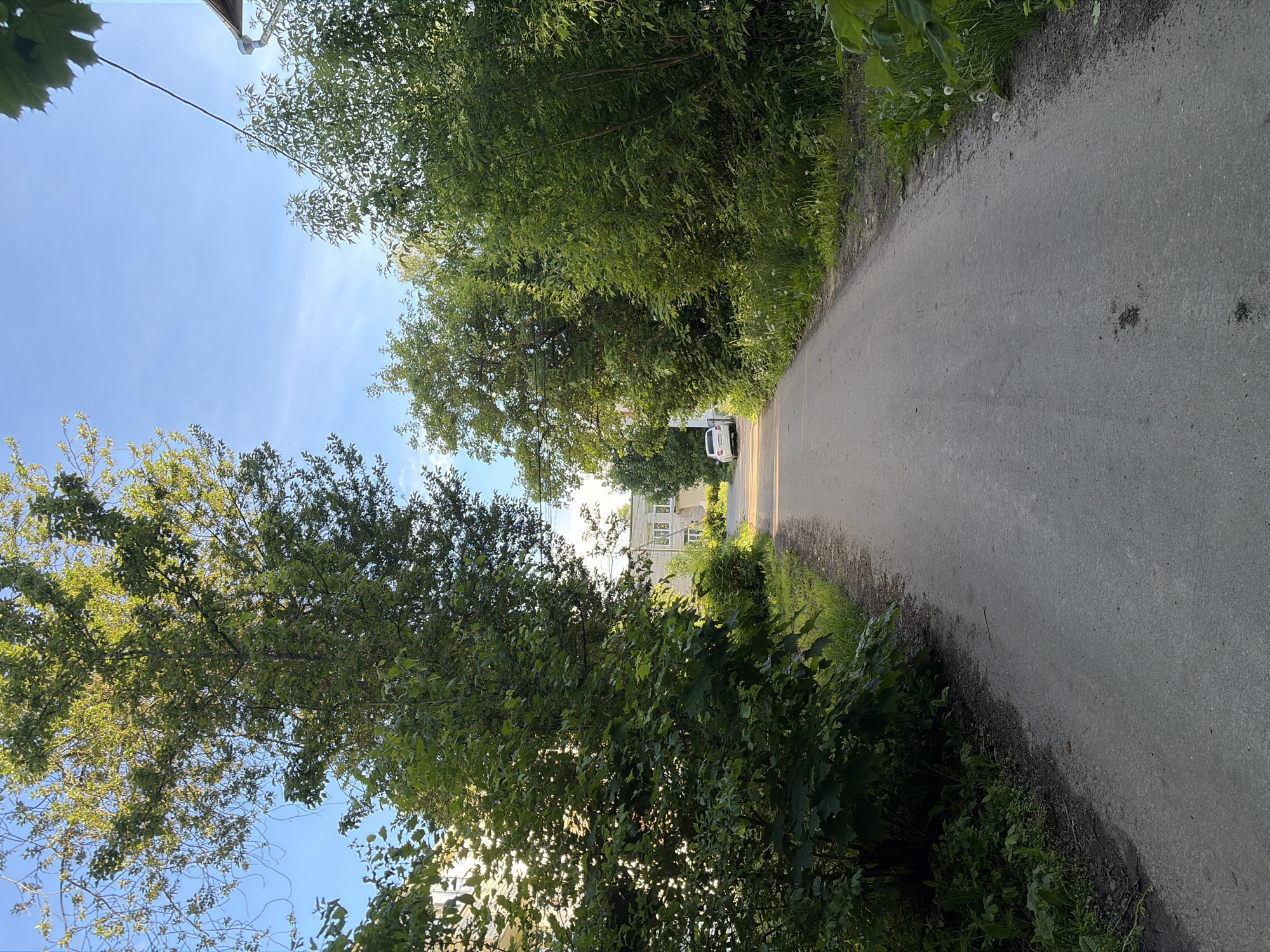 A street scene in Новинки, Russia, features a narrow asphalt road curving slightly toward the background. The road is flanked by dense green foliage on both sides, with trees arching overhead to create a tunnel-like effect. In the distance, a white car is parked near a light-colored building. The sky is visible through gaps in the trees, exhibiting a light blue hue with scattered wisps of clouds. The lighting suggests a sunny day, with highlights on the road and foliage.