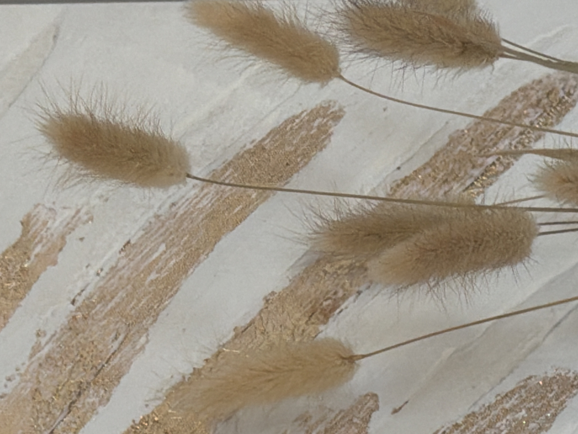 This is a close-up, high-angle, shallow depth-of-field photograph of dried bunny tail grass stalks. The stalks are a light brown or beige color and have a soft, fuzzy texture. They are arranged in a diagonal pattern across the frame, with some appearing closer and more in focus than others. The background is a textured surface that appears to be a wall or canvas. It is primarily white, with textured lines or strokes of a metallic gold or tan color running diagonally, mirroring the direction of the grass stalks. Small flecks of glitter are visible within these gold strokes. The lighting is soft and diffused, suggesting an indoor setting with no strong shadows. There is no discernible time of day or weather, and the location context of Cluses, France, provides no specific visual cues within the image itself. The overall mood is calm and decorative, with an emphasis on natural textures and subtle metallic accents.