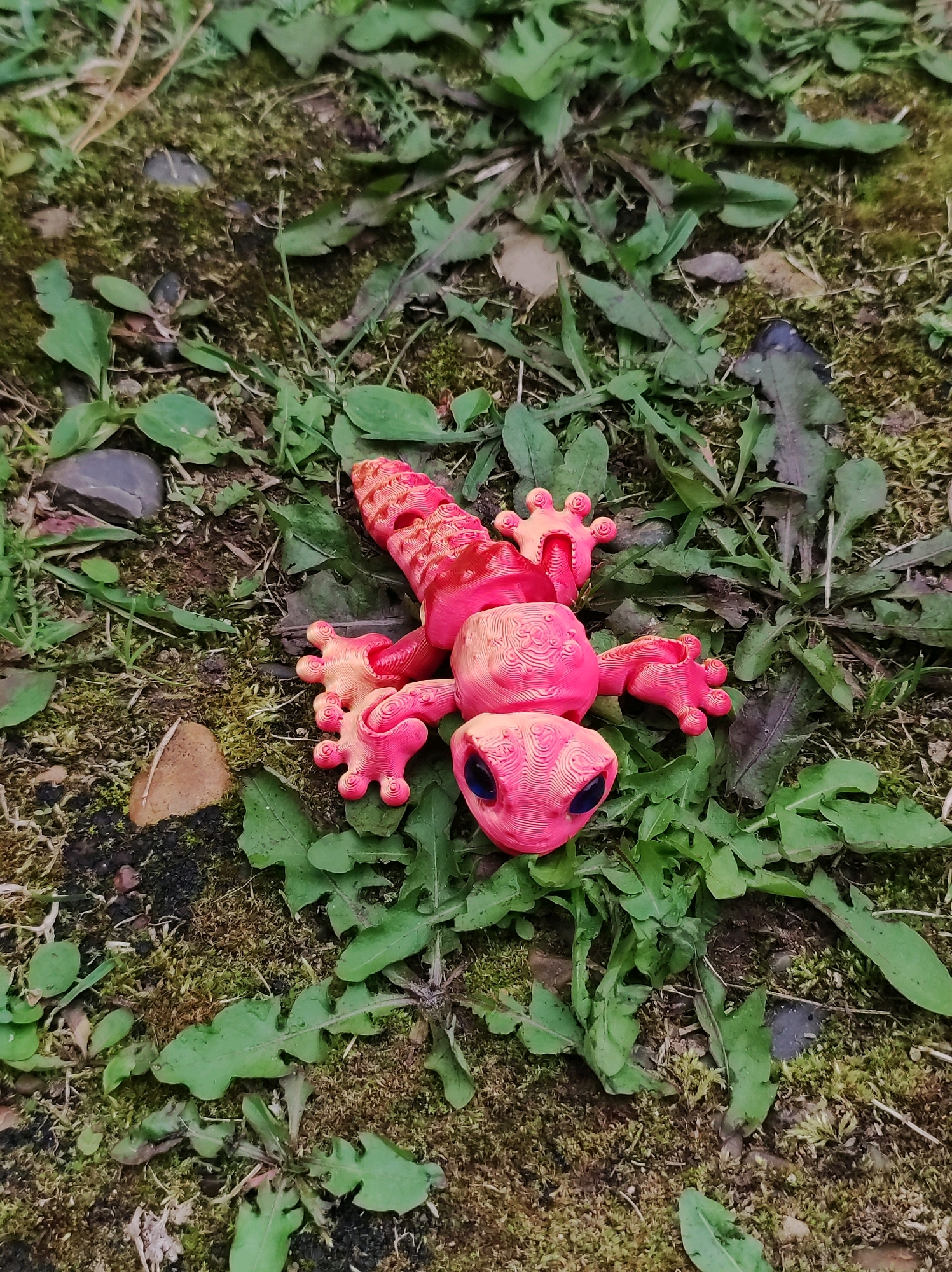 A bright pink and orange, articulated toy lizard with blue eyes is lying on the ground amidst green leaves and moss. The toy is detailed with a segmented body and tail, and finger-like appendages on its feet. The background consists of dark soil, small stones, and patches of moss. The image appears to be taken from a slightly elevated, direct overhead perspective. The scene is located outdoors, in a natural, overgrown area. The toy is the primary subject of the image. There are no people or animals present. There is no information to indicate this scene is in the city of Фоки, Russia.