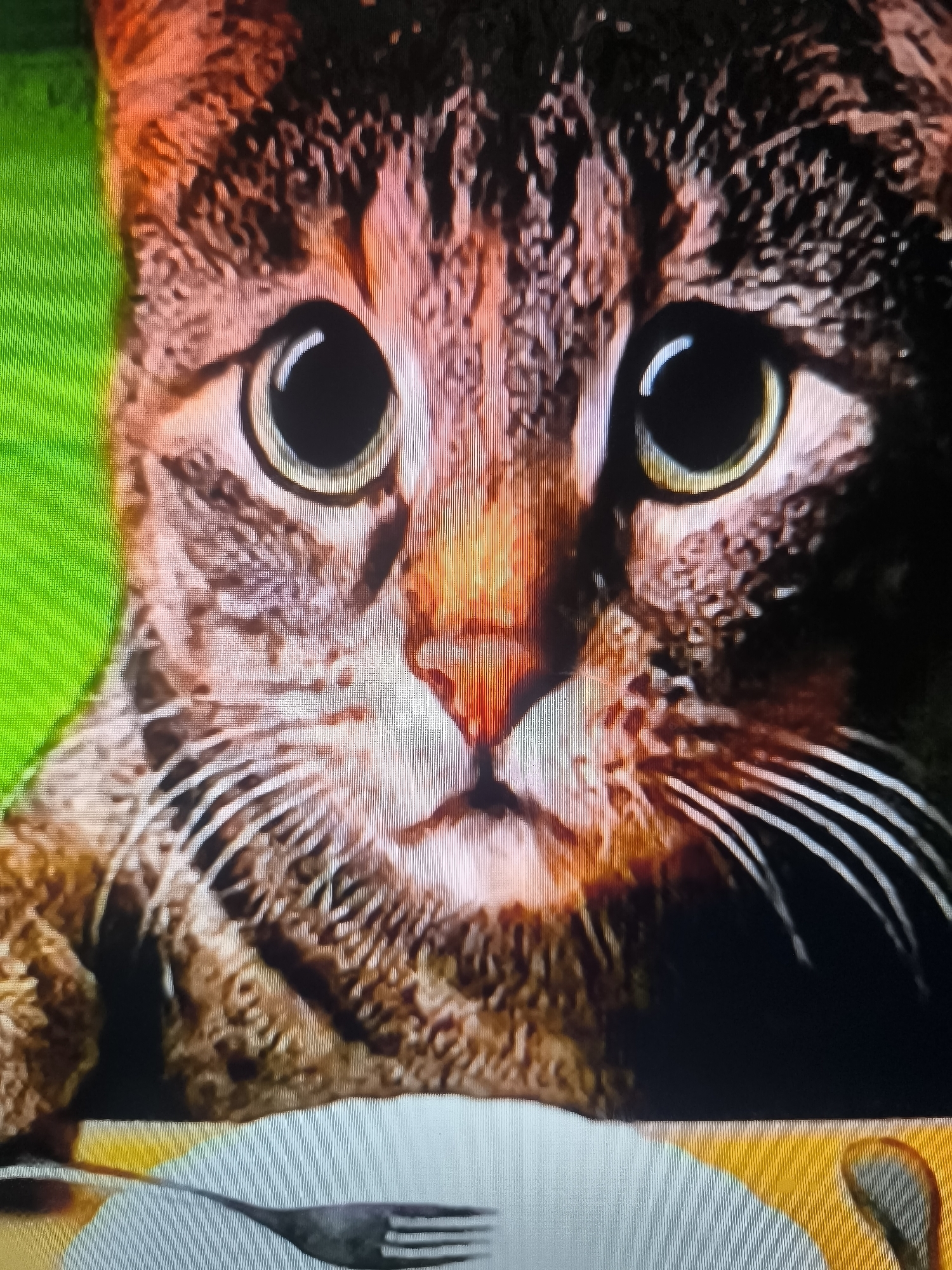 A close-up, slightly blurry, and pixilated image shows the face of a tabby cat. The cat's large, round eyes are wide open, and its pupils are dilated. Its nose is pink, and its whiskers are prominent. The cat's fur is a mix of brown, black, and orange stripes. The background on the left is a vibrant green, and the area below the cat appears to be a plate with a fork. The image does not contain any information about the city of Banjarejo, Indonesia.