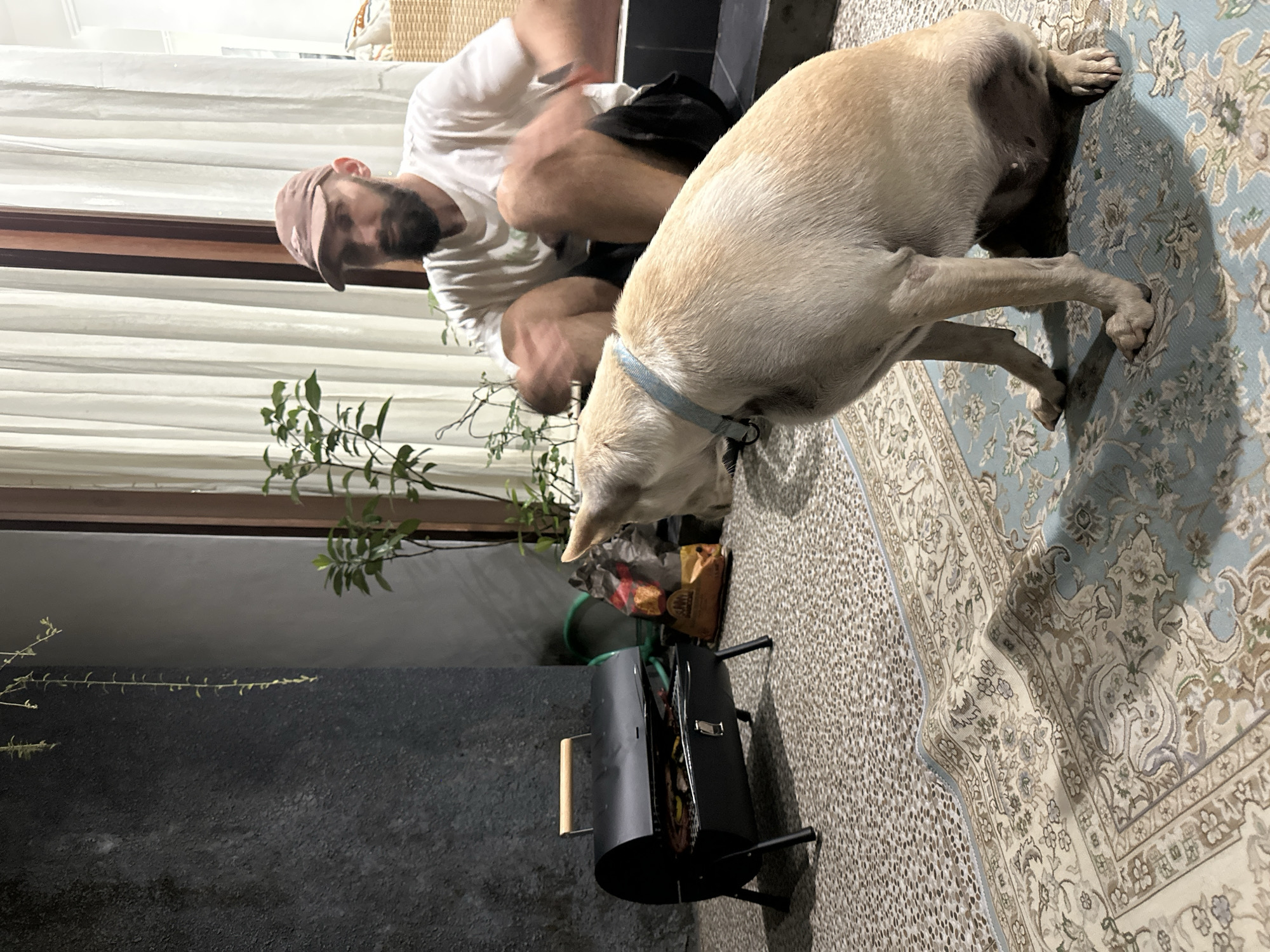 In an outdoor patio area, possibly in Kuta Selatan, Indonesia, a man with a beard and wearing a light-colored t-shirt and a brown baseball cap sits on the ground. He is blurred due to motion. In the foreground, a light-colored dog with a blue collar sits looking towards the right side of the frame. Between the man and the dog is a black portable grill with food cooking on it. Behind the grill, a bag of charcoal and a green garden hose are visible. The ground is a tiled patio with a patterned rug in the foreground. White curtains hang in the background.