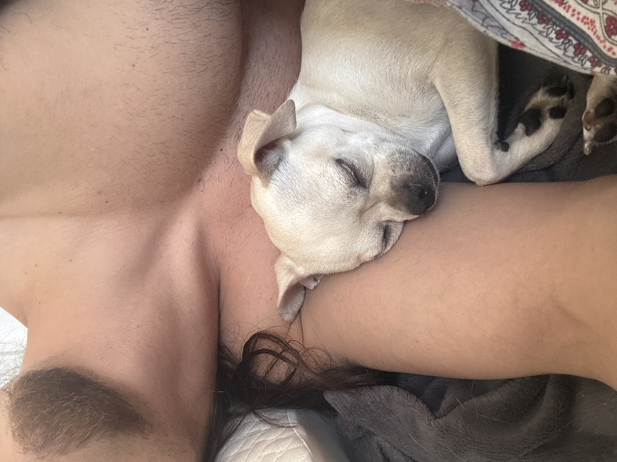 A high-angle close-up shows a person with fair skin lying down with a light-colored dog sleeping on their chest and arm. The person has dark hair visible near their shoulder. A blanket with a paisley-like pattern is visible above the dog, and a gray blanket is partially visible below. The location in Sofia, Bulgaria, cannot be determined from the image.