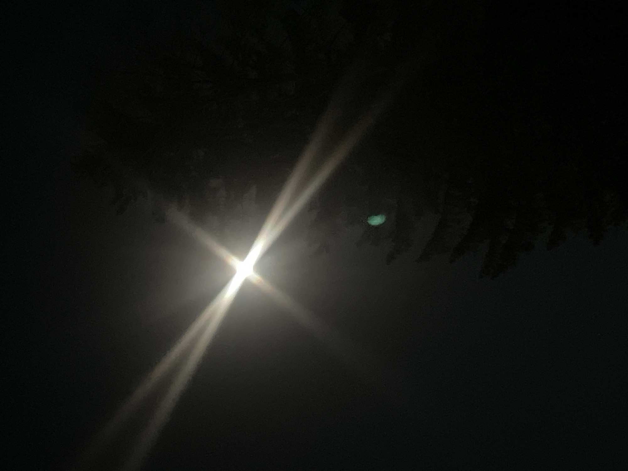 The image depicts a night scene, likely in Chaikovsky, Russia, given the request. A bright light source, possibly the moon, is prominently displayed with diffraction spikes, creating a cross-like effect. Tree branches or foliage are silhouetted against the dark sky at the top of the frame. The environment appears hazy or foggy, scattering the light. There are no discernible people or specific objects other than the light source and silhouetted vegetation. The scene is generally dark with a concentrated source of illumination.