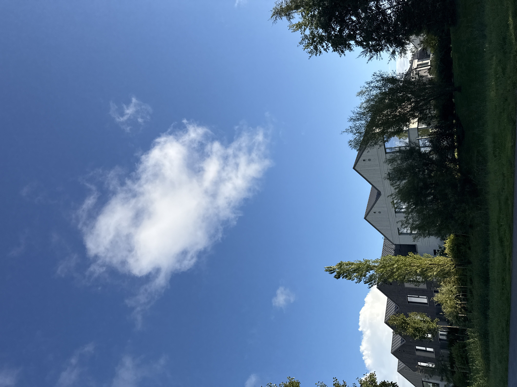 The image shows a row of modern, multi-story houses with dark, sloped roofs and light-colored facades. The houses are situated in Harkujärve, Estonia, surrounded by greenery, including tall trees and manicured bushes. A bright blue sky with scattered white clouds is visible above the buildings and trees. The foreground features a grassy embankment leading up to the houses. The scene appears to be a residential area, likely a housing development, bathed in natural daylight.