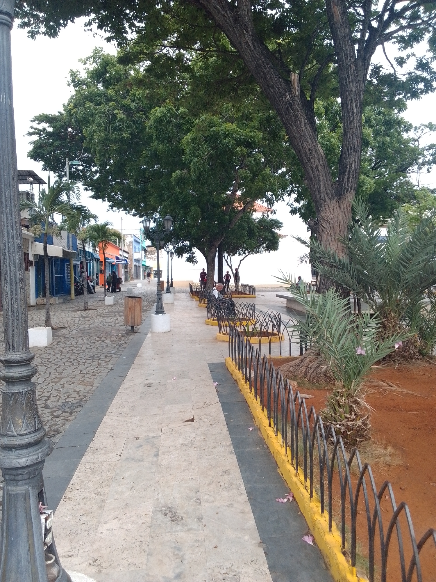 The image depicts a pedestrian walkway in Juan Griego, Venezuela, characterized by a cobblestone path on the left and a tiled path on the right, separated by a dark strip. A large, mature tree dominates the right side of the frame, with its trunk visible and its canopy extending across the upper portion. In front of the tree, there is a date palm. A black metal fence with a yellow base runs along the tiled path. Several people are scattered throughout the scene. On the left, along the cobblestone path, a row of colorful buildings with open storefronts is visible, with a few individuals standing near them. On the right, near the fence and benches, a few people are seated and standing. The environment suggests a public space, possibly a promenade or town square, with trees and amenities for pedestrians. The sky is overcast.