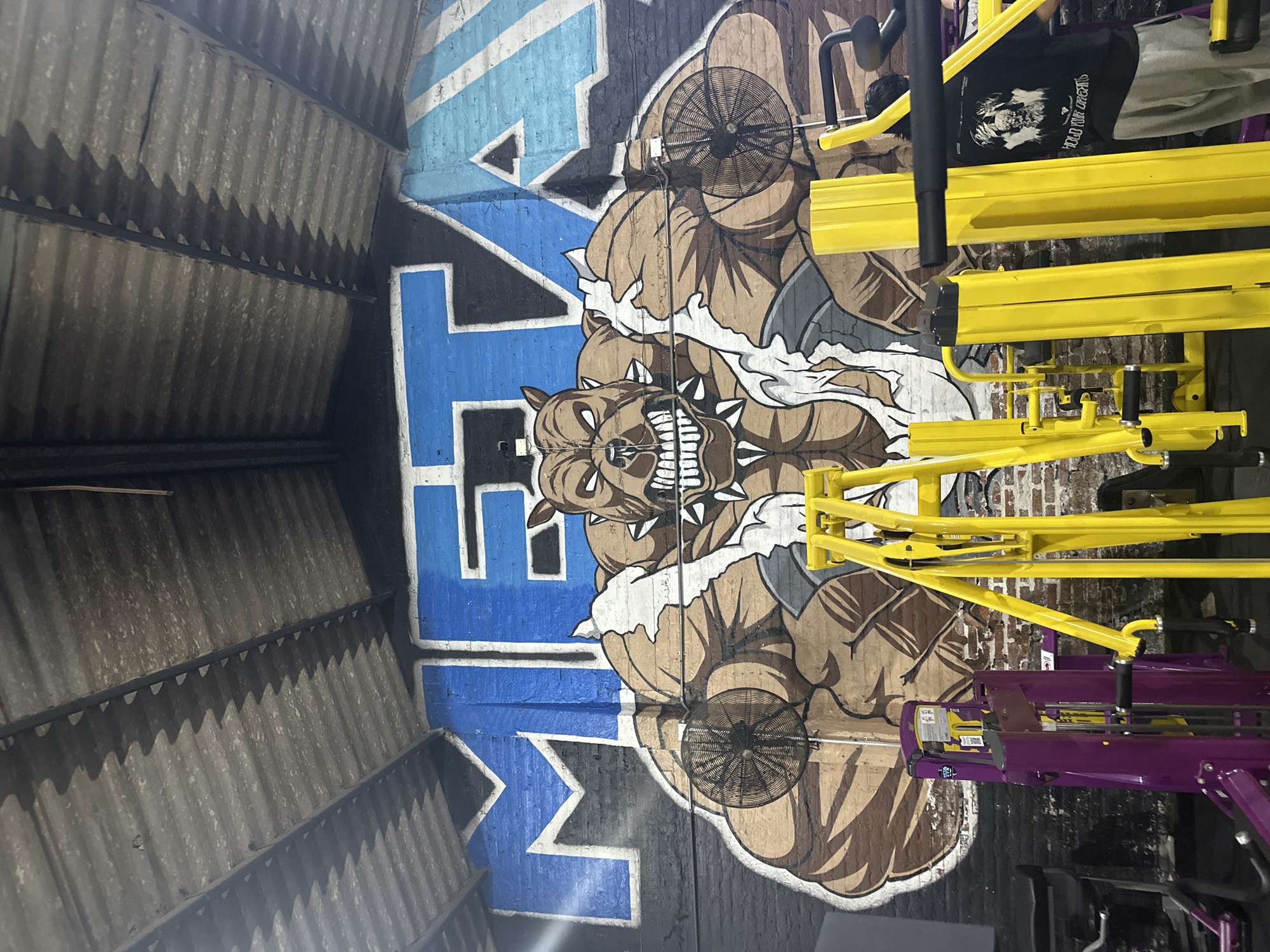 The image depicts the interior of a gym in Arica, Chile. A large mural painted on the wall features the stylized word "MEAT" in blue and black, with a muscular bulldog illustration behind it. The bulldog has visible teeth and a spiked collar. Two black fans are mounted on the wall, incorporated into the mural's design. Gym equipment, including a yellow leg press machine and a purple weight machine, is positioned in front of the mural. Corrugated metal sheets cover a portion of the wall or ceiling in the upper left of the image. A person wearing a black t-shirt is partially visible in the background.