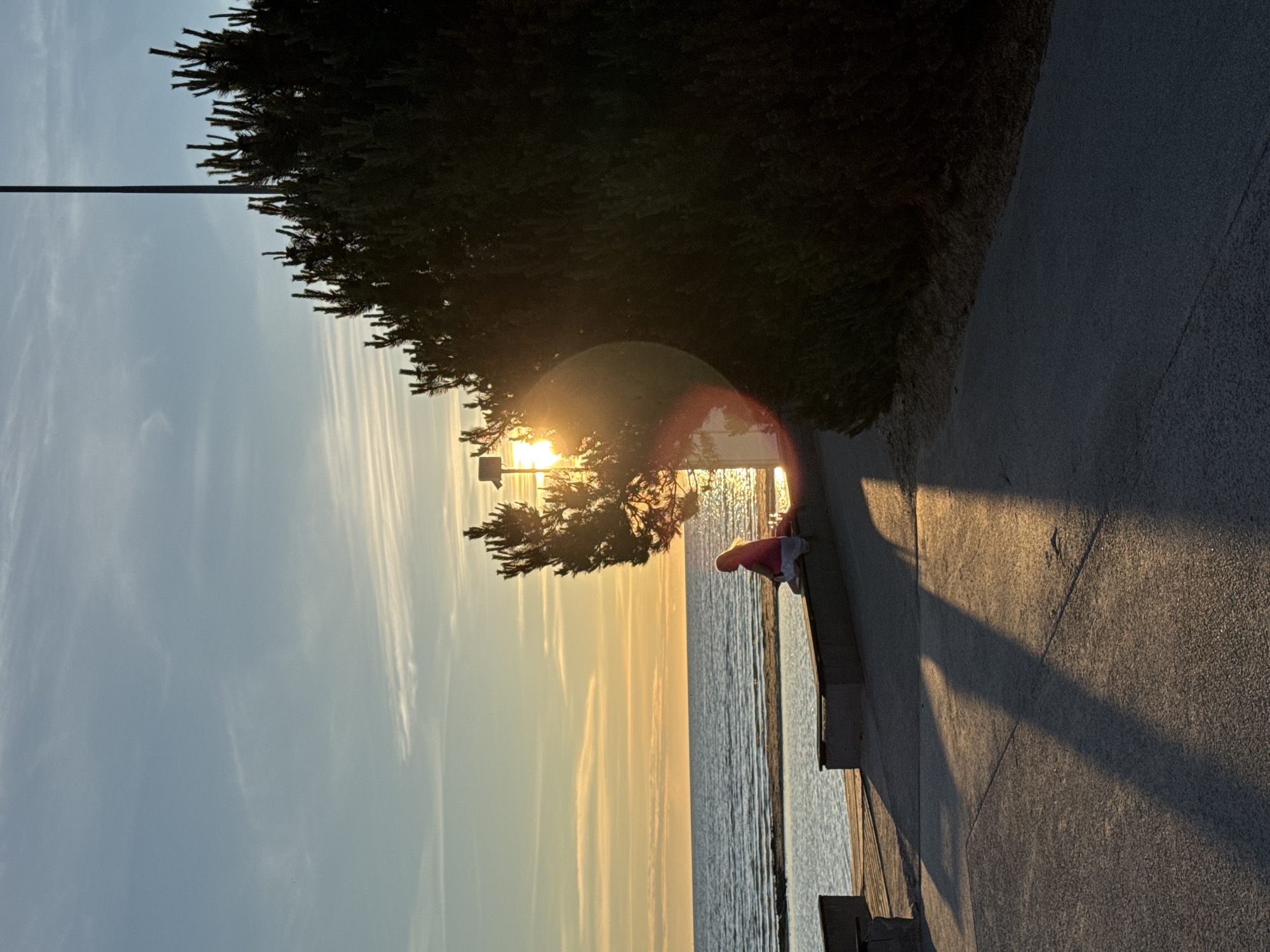 This image depicts a sunset scene in Tallinn, Estonia. A lone individual, silhouetted and wearing pink and white clothing, sits on a concrete bench overlooking the sea. The sun is low on the horizon, casting long shadows across a paved walkway and creating a warm glow. A large evergreen tree on the right partially obscures the sun and a lamppost. The sea is calm with gentle waves, and the sky is a pale blue with wispy clouds. The location appears to be a public area, possibly a promenade or waterfront park.