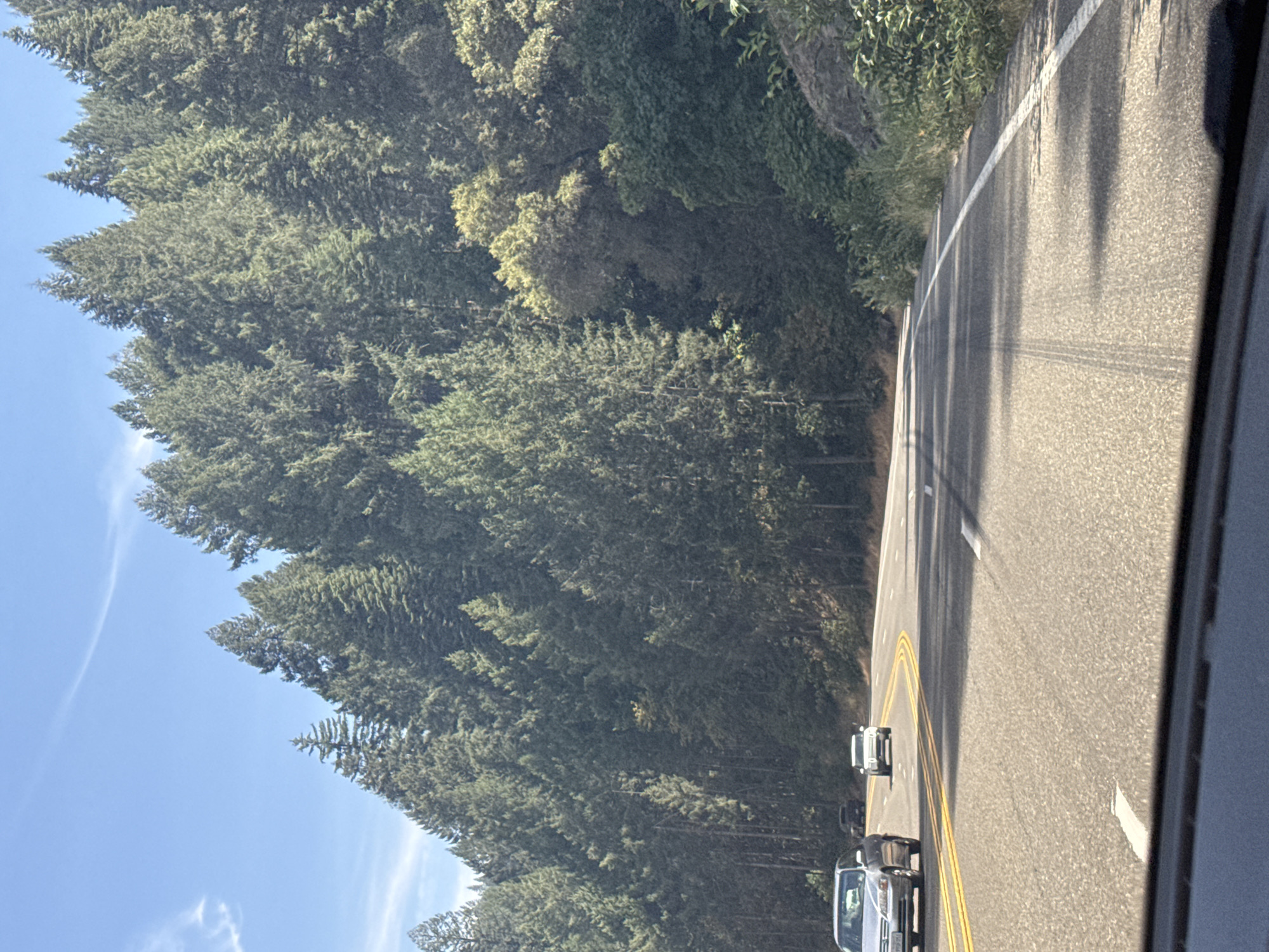 The image shows a view from a car driving on a winding asphalt road. The road has yellow double lines on the left and a white line on the right. Several cars are visible on the road, including a silver sedan in the foreground on the left, a white SUV in the middle distance, and two dark vehicles further ahead. The road curves to the right, bordered by a steep embankment covered in lush green trees and vegetation. A rocky outcrop is visible on the right side of the road. The sky is blue with a few wispy white clouds. The overall impression is of a scenic drive through a heavily forested area, likely in a rural or mountainous region. Based on the provided location, this scene is situated in Pacifica, California, United States.