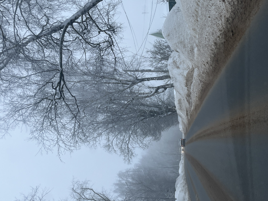 This image captures a winter road scene in Belavino, Russia, under overcast and foggy conditions. The two-lane asphalt roadway, viewed from a low perspective, displays visible tire tracks and a brownish discoloration from slush or road treatment. Substantial, uneven piles of plowed snow, exhibiting brown coloration at their bases, line both sides of the road. Bare deciduous trees, likely birch, are prominent along the road, their branches heavily coated in hoarfrost or light snow, with some branches overhanging from the right side. Two passenger vehicles are visible in the distance, traveling away from the viewer, both with illuminated headlights, indicating low light or reduced visibility. Utility poles and overhead wires are present along the right side of the road, and a building with a green-pitched roof is partially visible behind the snow piles and trees on the far right. No individuals are discernible within the scene.