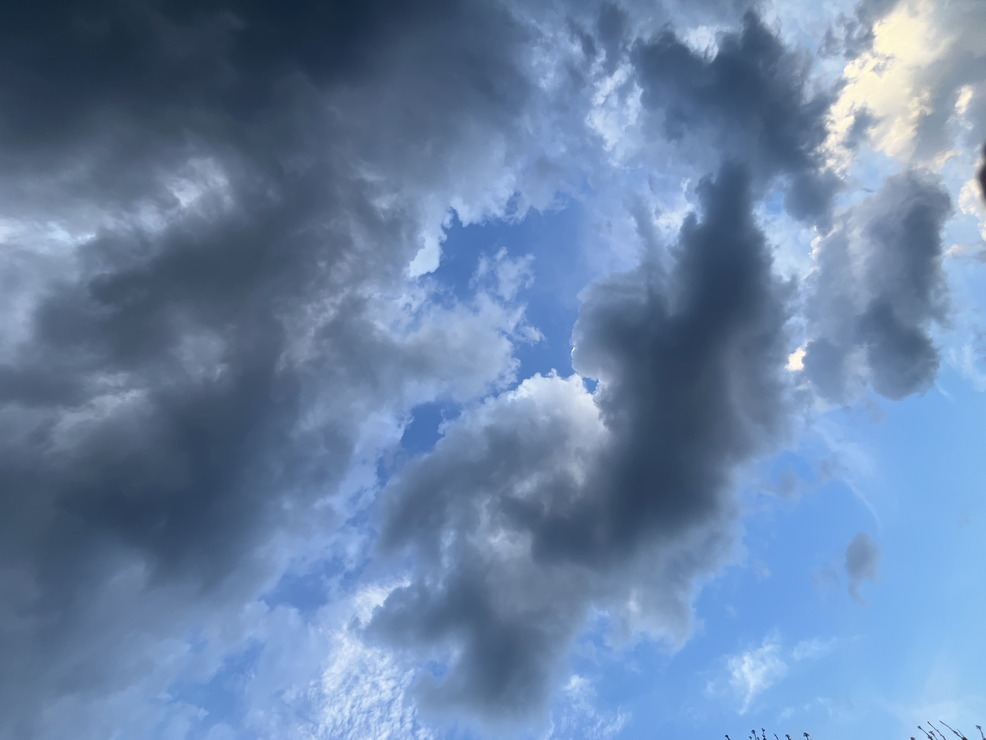 The image presents a dramatic upward view of a dynamic sky over Pchelnik, Bulgaria, dominated by a striking contrast between dark, heavy clouds and patches of vibrant blue sky. The primary subjects are the clouds themselves, which vary significantly in density and color. Large masses of dark grey, seemingly dense clouds, likely cumulonimbus or nimbostratus, occupy much of the frame, suggesting impending rain or recent stormy weather. These clouds show areas of deep shadow and brighter edges where light illuminates them.
Interspersed among these darker formations are several clearings revealing a bright, light blue sky, most notably a distinct patch towards the center. Lighter, more diffuse white and grey clouds are also visible, some appearing wispy, adding to the textural complexity of the sky. In the upper right portion of the image, a vivid yellow-white glow indicates direct sunlight breaking through or strongly reflecting off the cloud cover. The overall scene suggests a powerful weather event, with the clouds appearing to be in constant motion or formation. Barely visible at the very bottom edges of the frame are subtle hints of leafless tree branches or twigs, grounding the perspective to an outdoor setting looking upwards. No text is visible in the media.