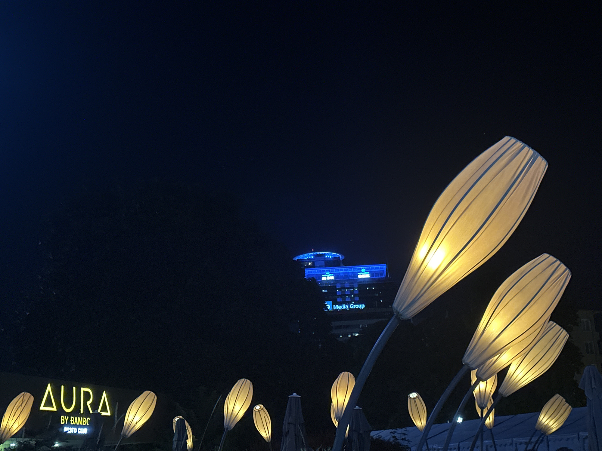 In this night photograph, taken in Sofia, Bulgaria, a group of distinctive, illuminated floral-shaped lamps are prominent in the foreground, their pale yellow glow contrasting with the dark night sky. These lamps, with their ribbed fabric shades, are arranged in clusters, some appearing to sway gently. In the middle ground, a modern building is brightly lit with blue and white lights. A sign on the building reads "Media Group." Further to the left and lower in the frame, the illuminated neon sign of "AURA BY BAMBOO" is visible, suggesting a commercial or entertainment establishment. The overall environment appears to be an outdoor urban setting at night, with lush dark foliage visible behind the lamps. There are no people clearly discernible in the image. The sky is a deep, clear blue-black.