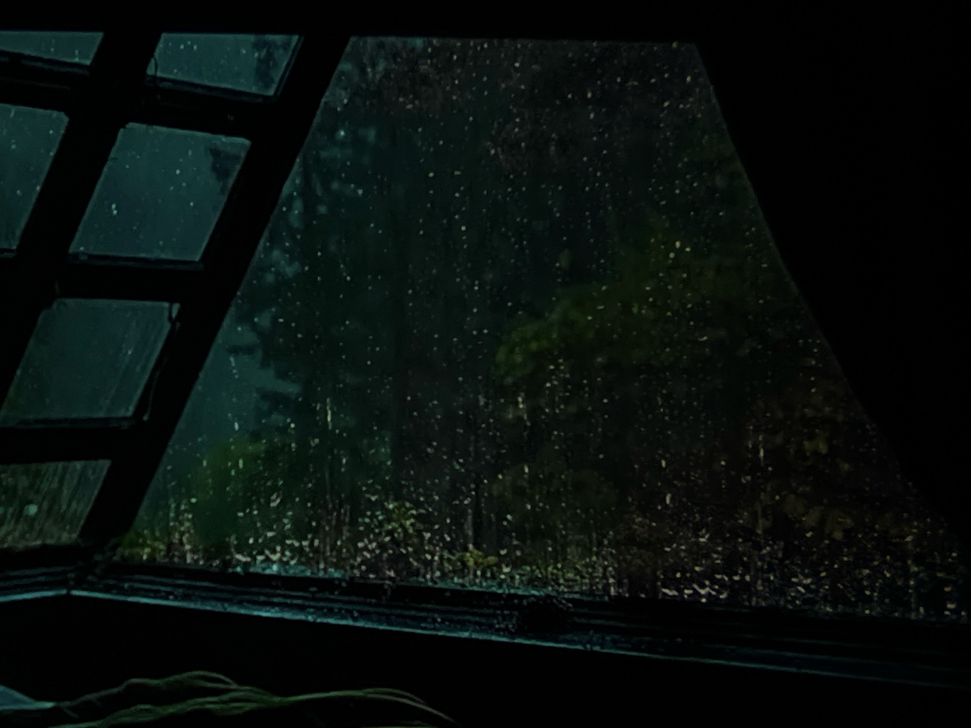 The image shows a view through a rain-streaked window of dense foliage. The window has a grid of square panes on the left side, with some panes appearing darker than others. Raindrops are visible on the glass, distorting the view of the trees outside, which are a dark green and appear blurred. The scene is dimly lit, suggesting it is either nighttime or a very overcast day. The lower portion of the image is dark, with a hint of fabric or bedding visible at the very bottom. There are no people or discernible objects within the scene besides the window and the obscured view of the outdoors.