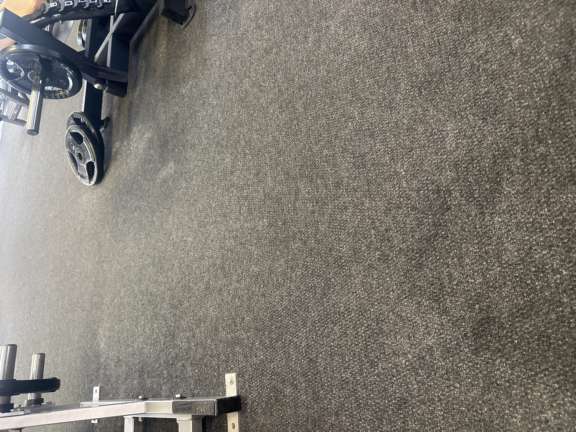 The image displays an indoor gym or fitness facility, characterized by its specialized equipment and flooring. The primary subject is a dark gray, textured carpet that covers most of the floor area, showing minimal wear.
In the left portion of the frame, a multi-tiered weight rack is visible, holding numerous dumbbells or weight plates arranged horizontally. A barbell or similar bar is loaded with several black weight plates and rests against this rack. One black plate clearly shows "5 KG" and "MORROW" text. Another silver weight plate, also marked "5 KG" and "MORROW," lies on the carpeted floor nearby. Towards the bottom left, part of another piece of gym equipment with chrome-plated posts or spindles for plate storage is visible. Text on this equipment's frame includes "MORROW FITNESS" and what appears to be a model number, possibly "231" or "211."
No people are present, and no activity is depicted, but the setup suggests an environment for strength training or weightlifting. The lighting appears even, typical of an indoor facility, indicating no specific time of day or weather conditions. The overall setting points to a functional gym space in Blagoevgrad, Bulgaria.