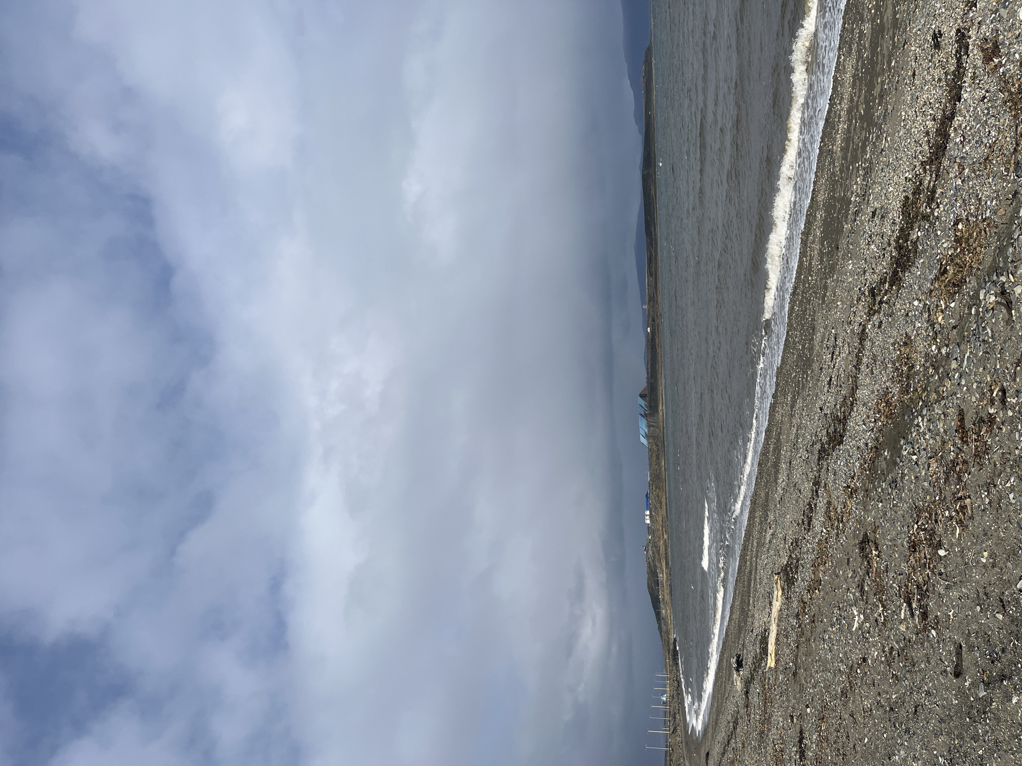 The image shows a beach in Ushuaia, Argentina, with a dark, overcast sky covering the left half. To the right is the ocean, with small waves breaking on the dark-colored, gravelly beach. Debris, likely seaweed and driftwood, is scattered on the beach. Along the coastline, there are some buildings visible in the distance. Poles are standing on the edge of the beach. The image is taken at an angle.