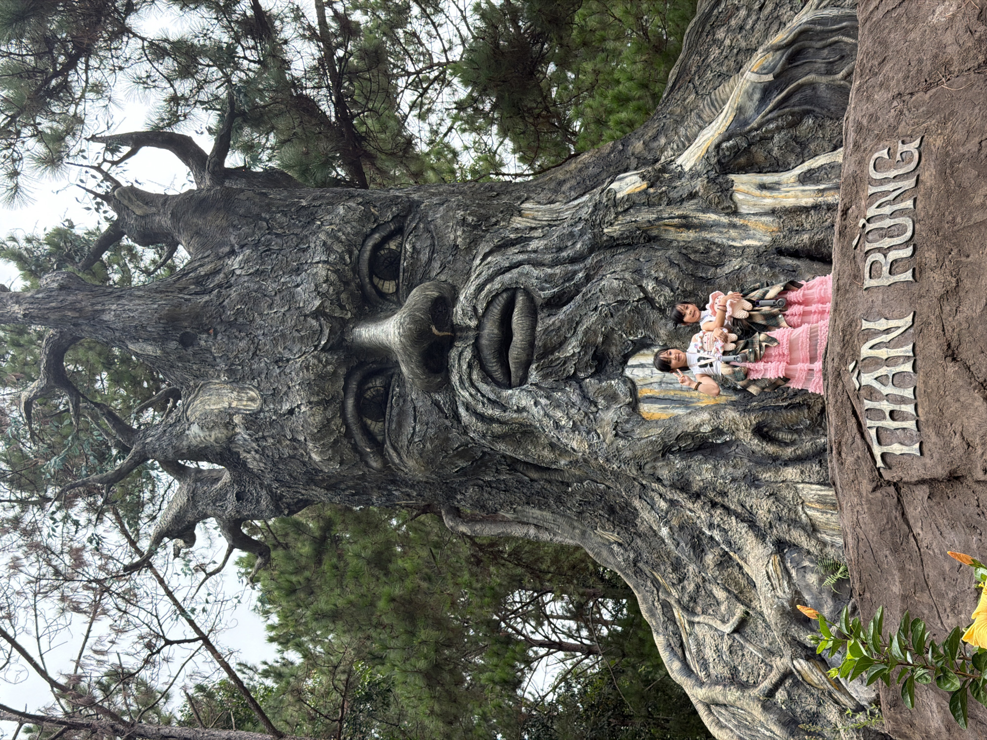 This is a full-shot, eye-level, outdoor photograph taken in Da Lat, Vietnam, featuring a large, sculpted tree resembling a human face. The tree sculpture is the dominant element, with its gnarled bark forming the features of a face, including eyes, a nose, and a mouth. The sculpture is situated on a rocky outcropping, and the word "THẦN RỪNG" (meaning "Forest God" in Vietnamese) is carved into the rock at the base of the sculpture.
In front of the sculpture, standing on the rocky outcropping, are two young girls. The girl on the left is wearing a white top and a pink tiered dress, and she is making a peace sign with her right hand. The girl on the right is also wearing a white top and a pink tiered dress, and she is holding a stuffed animal in her left arm. Both girls appear to be posing for the photograph.
Behind the sculpture, pine trees and other foliage create a natural backdrop. The sky is overcast, suggesting a cloudy or misty day. The overall impression is of a whimsical or fantastical attraction, likely a tourist spot within Da Lat, a city known for its natural beauty and attractions.