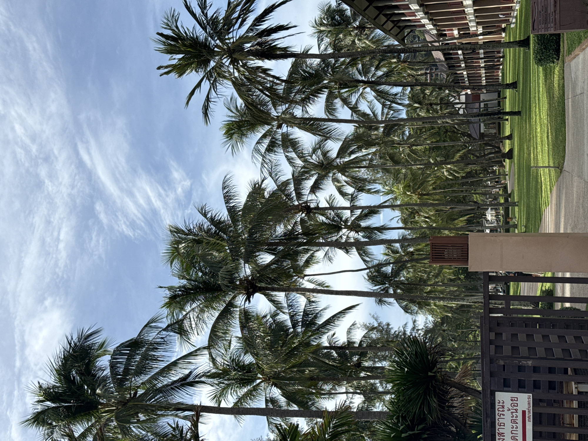 The image shows a resort in Karon, Thailand, on a partly cloudy day. The scene is dominated by a dense grove of tall palm trees. In the foreground, a dark wooden fence with a white sign in Thai is visible on the left. To the right of the fence, a light-colored pillar topped with a wooden fixture stands near a pathway. Beyond the fence and pillar, a well-manicured green lawn stretches out, with a winding pathway leading towards the right side of the frame. A multi-story building with a reddish-brown roof and balconies runs along the right edge of the image. In the background, more palm trees and some smaller structures are visible. The sky is blue with scattered white clouds.