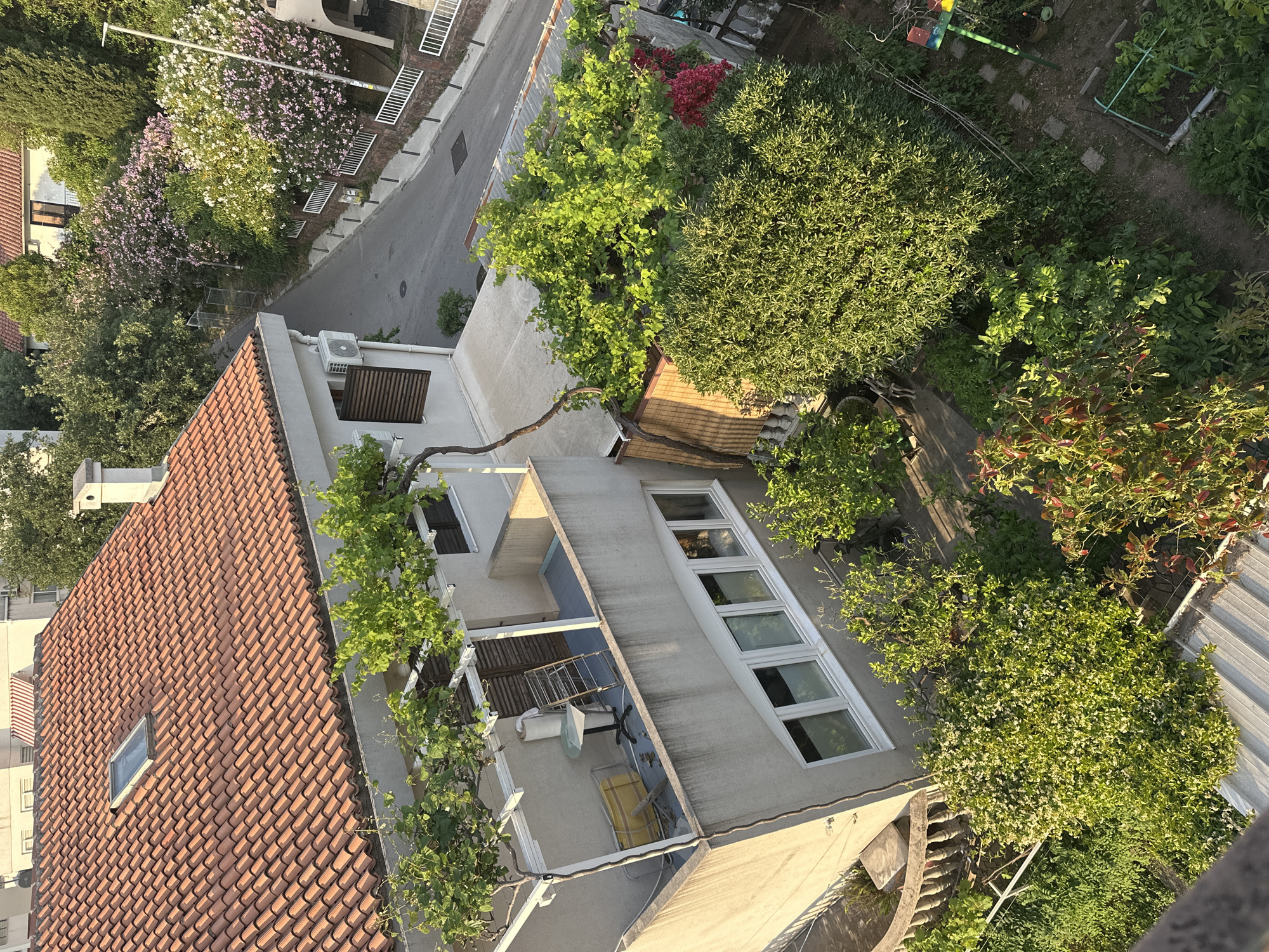 An aerial, angled shot depicts a building in Budva, Montenegro, characterized by a red-tiled roof, white facade, and visible air conditioning unit. The building is multi-leveled, with a balcony furnished with chairs and vines climbing along its exterior. Tall, green trees and foliage surround the building, adding depth to the scene. A nearby street is visible, alongside neighboring structures and greenery. The composition suggests an urban setting where nature integrates within the city landscape.