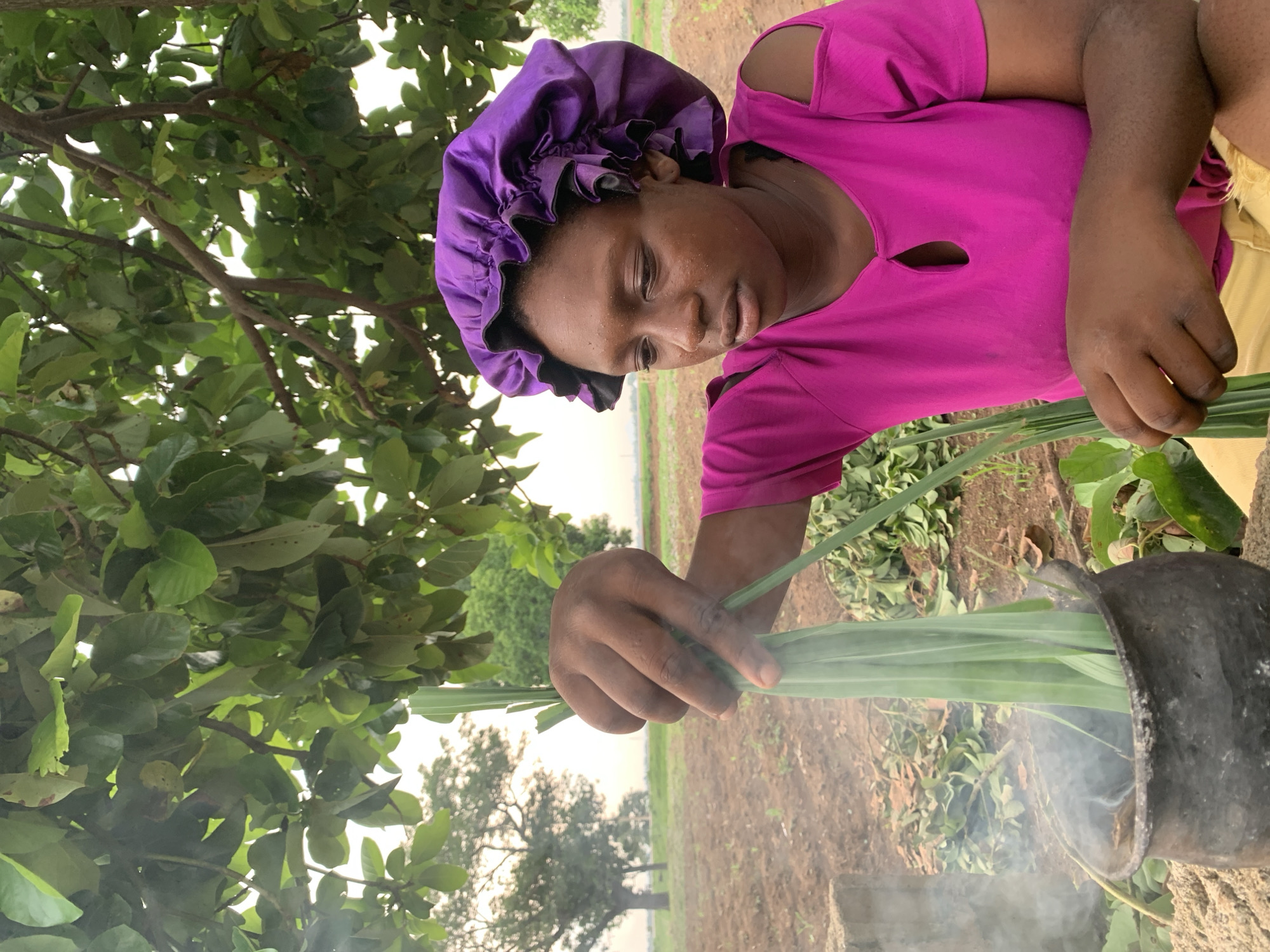 In an outdoor scene in Agban, Nigeria, a person wearing a purple head covering and a pink shirt places a bundle of long, green leaves into a dark-colored pot from which smoke is emanating. The location appears to be a cultivated field with a tree providing partial shade. The person's hands are visible as they hold the leaves above the pot.
