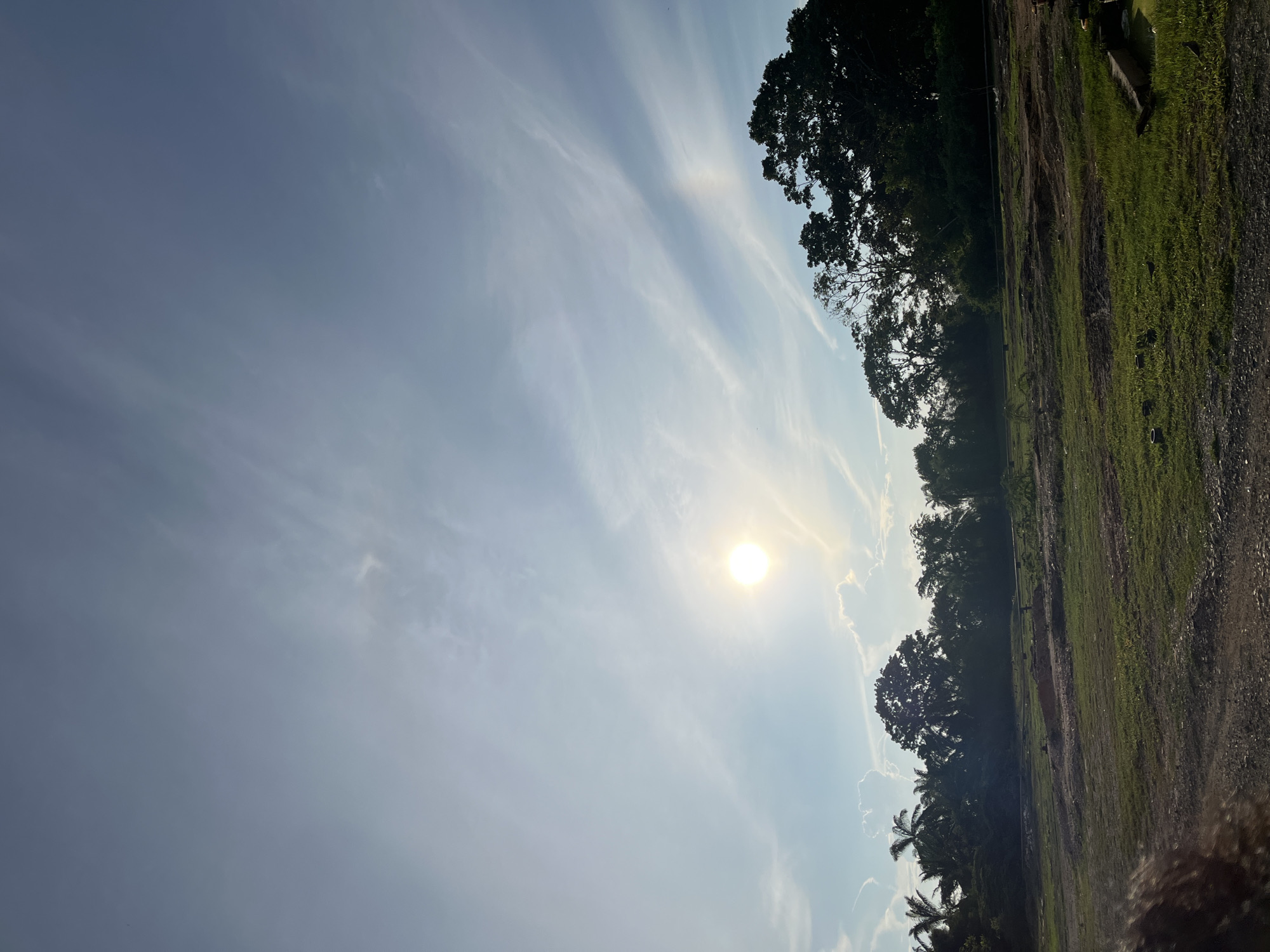 This is an outdoor, landscape photograph of a sunlit field with trees and a bright sky. The sun is positioned in the upper left quadrant of the frame, casting a warm glow. Wispy clouds stretch across the sky, with some appearing brighter due to the sunlight. A dense line of trees, including palm trees and other deciduous varieties, forms a dark silhouette along the horizon. The foreground consists of a grassy field with patches of exposed soil and gravel. The overall scene suggests a rural or semi-rural environment, likely during daylight hours. Based on the visual cues, this scene could be located in a tropical or subtropical region. The image does not contain any discernible human presence, specific actions, or interactions.