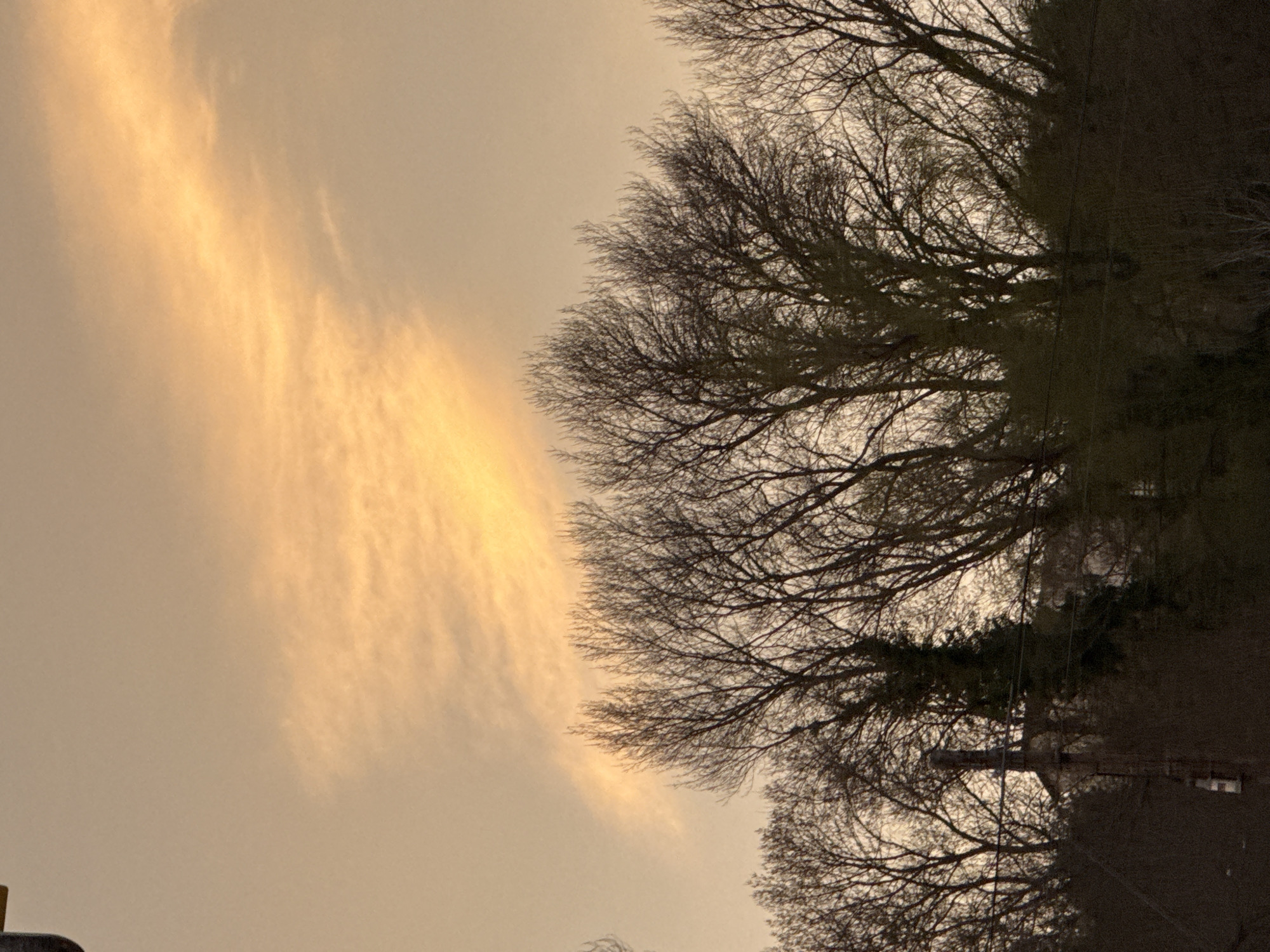 The image depicts an outdoor scene in Graus, Spain, at either sunrise or sunset. The upper portion of the frame is filled with a sky exhibiting a warm, desaturated orange-brown color, featuring an elongated streak of brighter orange-yellow cloud formation extending diagonally. Below this, a dense line of deciduous trees, largely devoid of leaves, forms a dark, intricate silhouette across the lower two-thirds of the image. A utility pole is partially visible on the lower-left, extending into the tree line. Behind the trees, faint outlines of a building with a peaked roof are discernible. No individuals, discernible actions, or interactions are present. The lighting suggests a low sun angle, backlighting the trees and illuminating the clouds.
