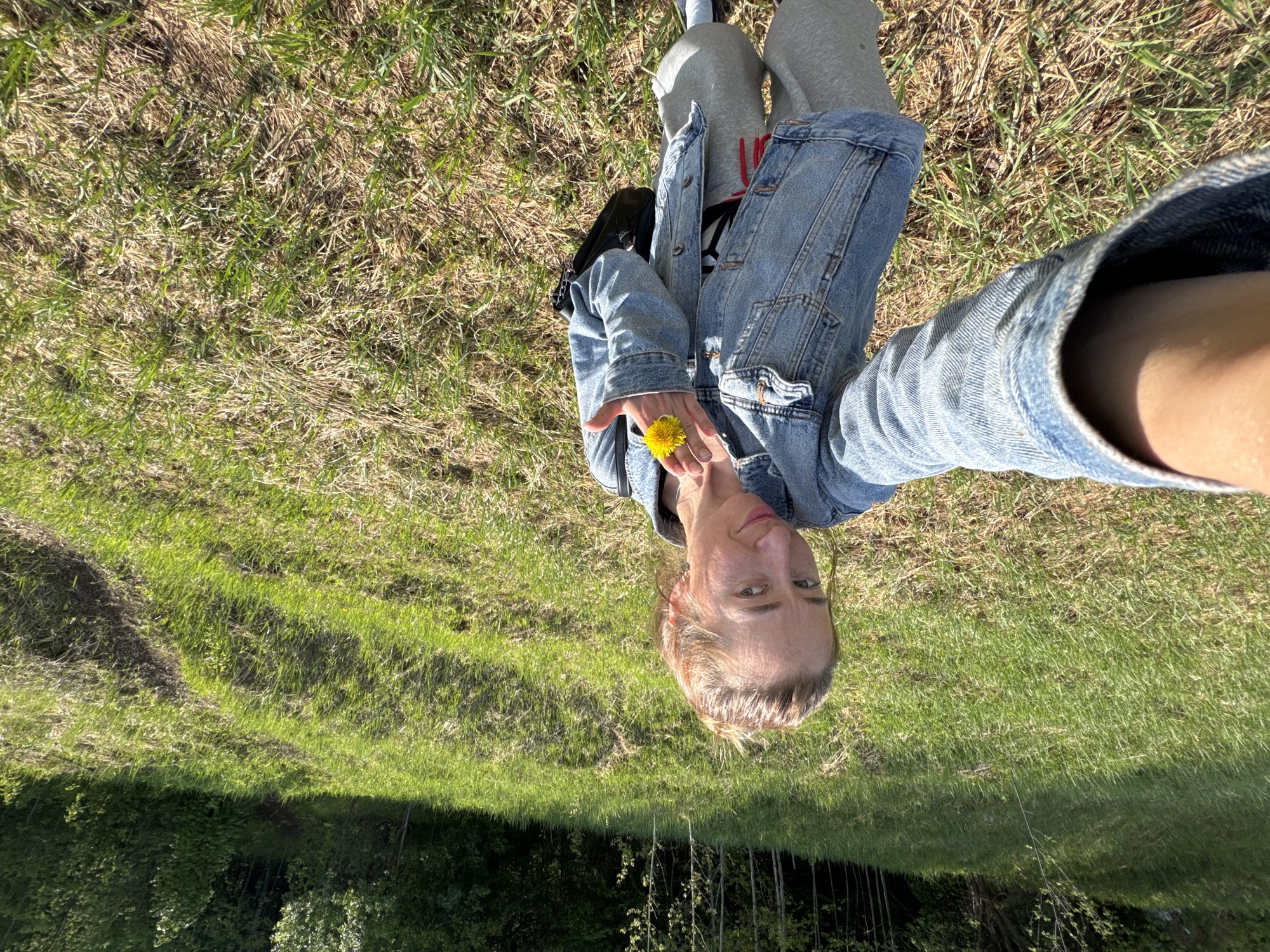A person is holding a dandelion in front of an outdoor setting. The person is wearing a denim jacket, gray pants, and white socks. The person is standing in a grassy area with some trees visible in the distance. The location could possibly be Krasnokamsk, Russia.