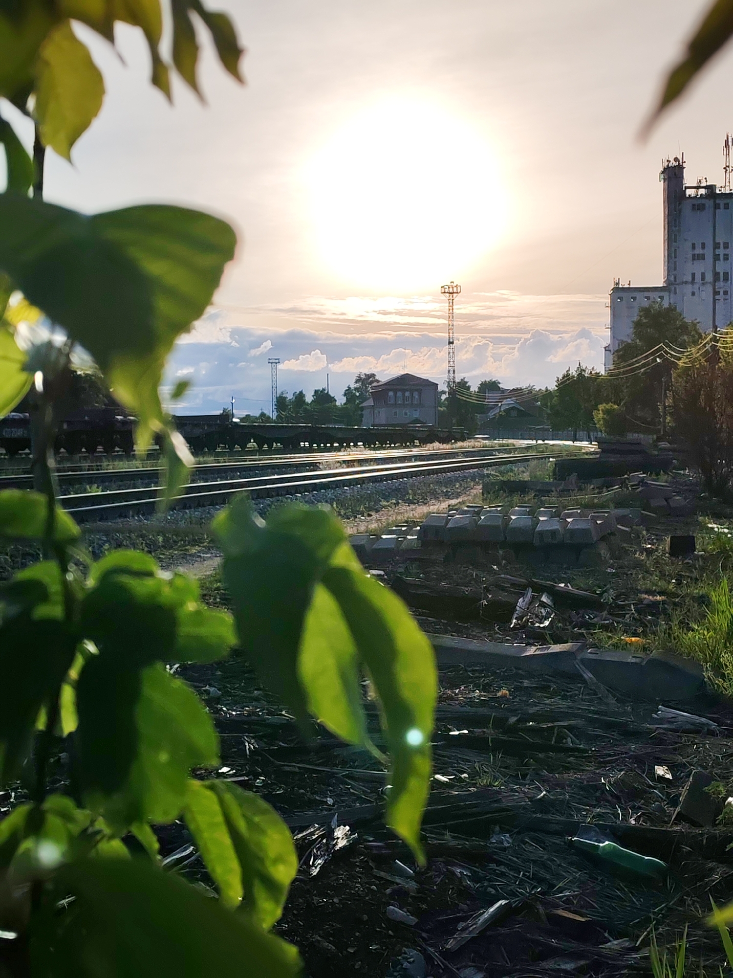 The image depicts a view near railway tracks in what appears to be an industrial or outskirts area of Bol'shie Mkhi, Russia, at sunset or sunrise. In the foreground, out-of-focus green leaves obscure parts of the scene. Beyond the leaves, railway tracks stretch into the distance, with a stationary train visible on the tracks to the left. A small building is near the tracks. A communication tower is visible on the horizon. To the right, a tall industrial building with antennae on top rises above the scene. The ground is covered with weeds, debris, and discarded objects.