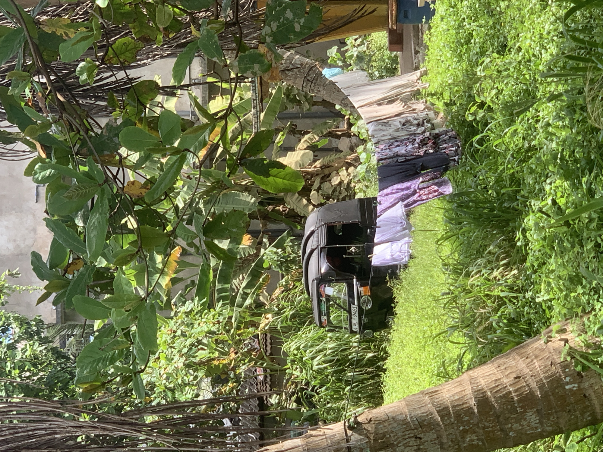 In Kathaluwa, Sri Lanka, a black auto-rickshaw is parked on a grassy area amidst lush vegetation. A clothesline with several garments hangs in the foreground, partially obscuring the view of the auto-rickshaw. In the background, a building with a tiled roof is visible through the dense foliage. The scene is bathed in natural light, suggesting it is daytime.