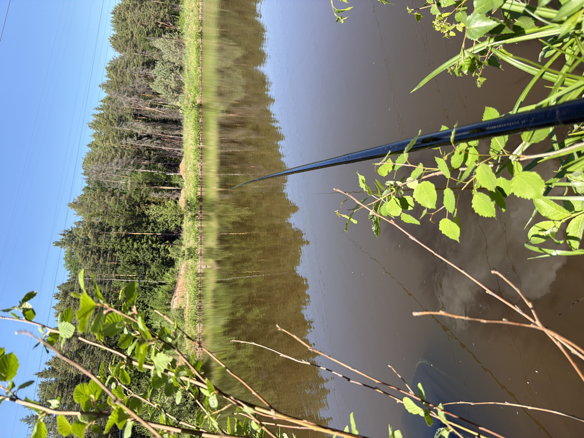The image depicts a fishing scene at a body of water in Прикамский, Russia. A fishing rod extends out over the water, with foliage in the foreground and trees visible on the opposite bank. Power lines are also visible in the sky, and their reflection can be seen in the water. The water is a murky brown.