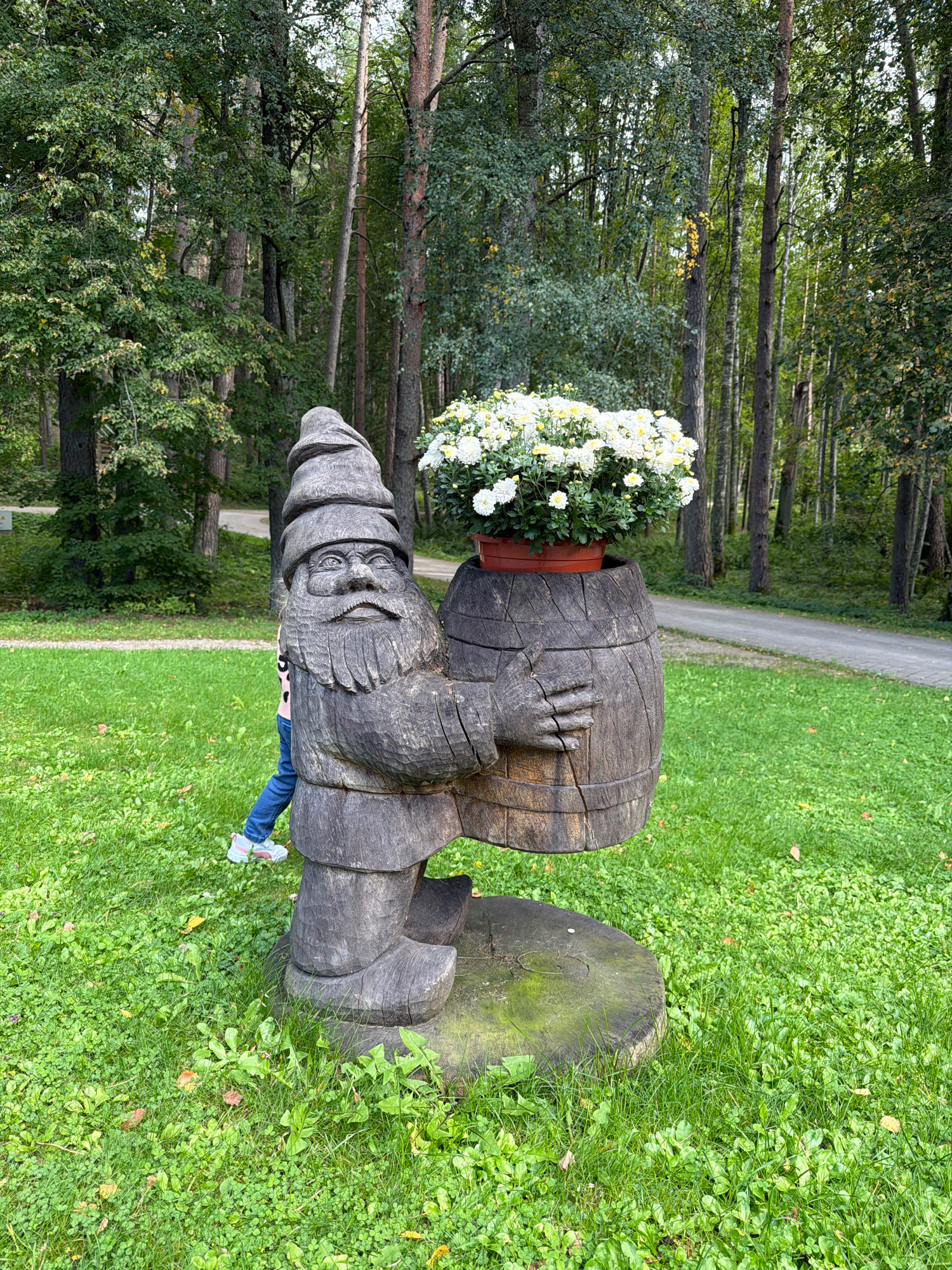 The image depicts an outdoor scene in Kroņauce, Latvia, featuring a wooden gnome sculpture holding a barrel filled with white flowers. The sculpture is positioned on a grassy area with a path visible in the background, surrounded by trees. A child, wearing a pink shirt and blue jeans, is partially visible behind the gnome sculpture, appearing to be walking or playing. The overall setting suggests a park or garden environment with a focus on nature and decorative elements.