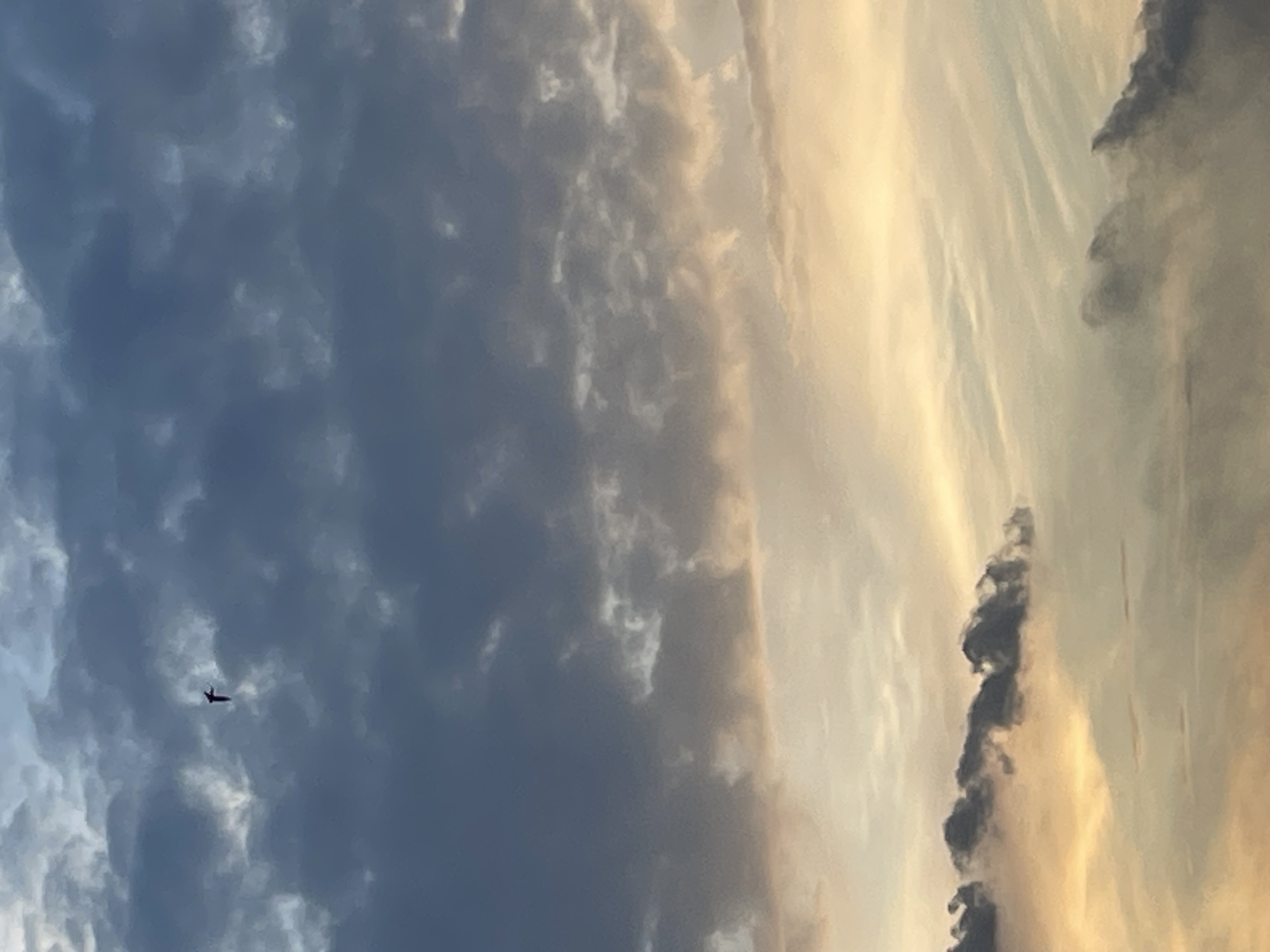 An isolated bird is captured in flight against a backdrop of a dramatic, cloudy sky. The bird, appearing as a dark silhouette with outstretched wings, is positioned in the upper left quadrant of the image. The sky is filled with a variety of clouds, ranging from dark, heavy masses in the upper portion to lighter, wispy formations tinged with the warm hues of sunset or sunrise towards the bottom. The lighting suggests a transition period of the day, with soft, diffused light illuminating the cloud textures.