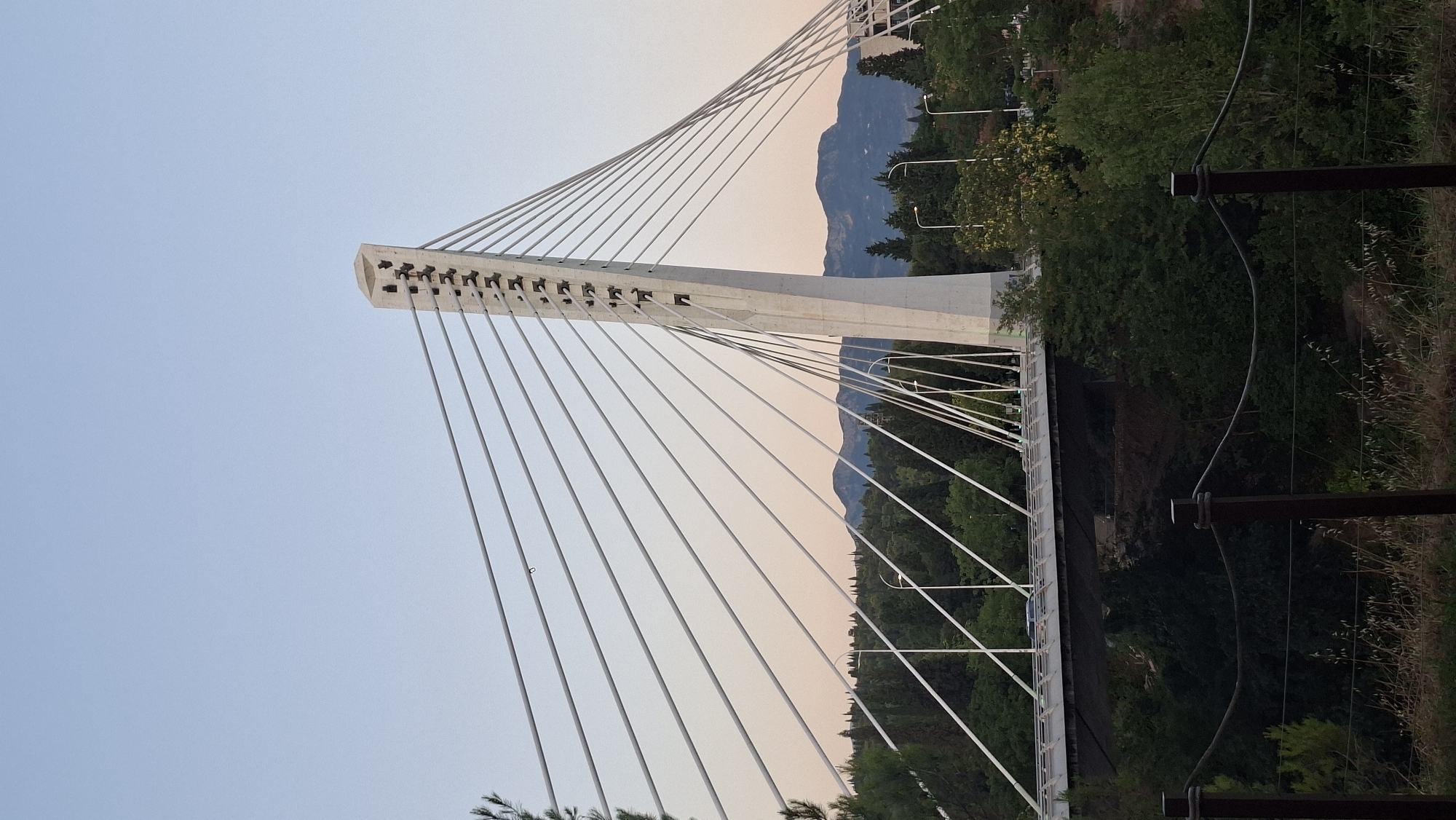 The image shows the Millennium Bridge in Podgorica, Montenegro. It is a cable-stayed bridge that spans the Moraca River. The bridge is white and has a distinctive pylon that leans to one side. The cables are also white and fan out from the pylon to the bridge deck. The bridge is surrounded by trees and hills, and the sky is a clear blue. There are cars on the bridge, suggesting it is in use. The foreground shows a grassy area with a rustic fence, hinting at a viewpoint or park area. The overall scene depicts a modern architectural marvel set against a natural landscape under a clear sky, likely during the day.