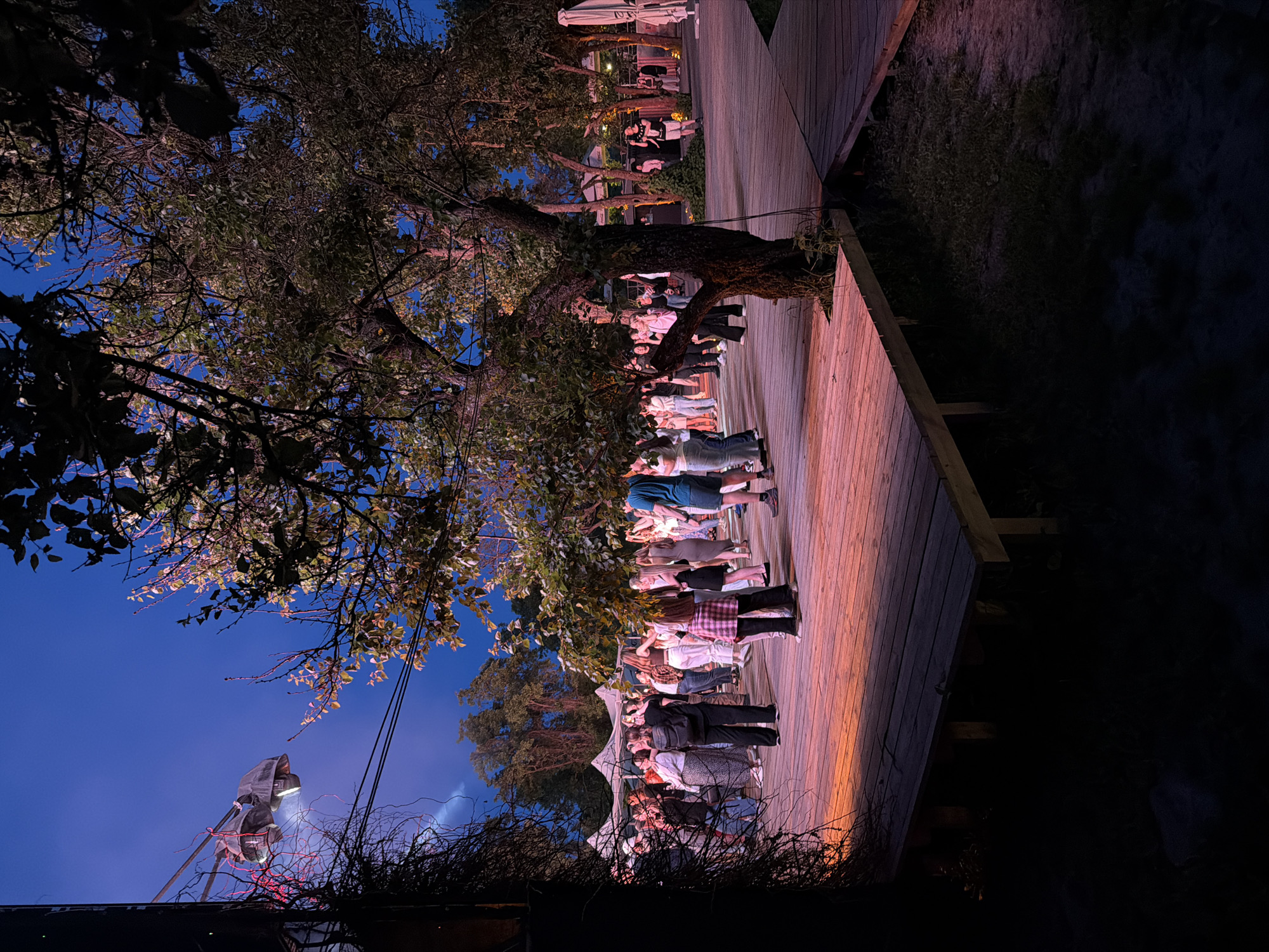 This image captures an outdoor evening gathering at a venue in Kyiv, Ukraine, under a dark blue twilight sky. A large group of approximately 30-40 individuals, primarily young adults, occupies a multi-level wooden deck or platform that serves as the central activity area. The deck is illuminated from an unseen source, casting a distinct pinkish-orange glow on its surface.
The setting is characterized by numerous mature trees with varied foliage, some directly integrated into the wooden platform's design, creating openings around their trunks. Vines and dense foliage frame the immediate foreground on the left. In the mid-ground, a series of white peaked tents or canopies are visible, suggesting additional event infrastructure or seating areas. On the far right, a folded white outdoor umbrella indicates a cafe or dining component.
Overhead, on the left side of the frame, a large metallic light fixture or speaker array is suspended by cables against the sky, emitting visible light. The people on the platform are casually dressed and are seen standing in various small groups, appearing to socialize. No specific actions such as dancing or eating are uniformly observed; the individuals are primarily standing and interacting within the illuminated space. The ground beneath and surrounding the wooden deck is unpaved, consisting of dark earth and sparse vegetation.