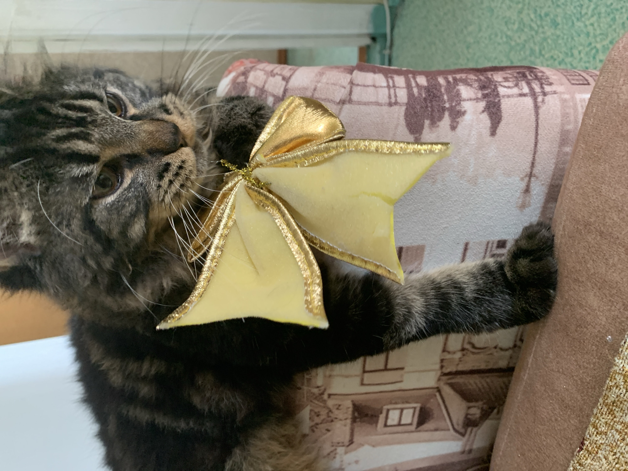 A tabby cat with a fluffy mane is perched on a piece of furniture adorned with a patterned fabric. A yellow bow with gold trim is attached to the cat's chest. The cat is looking down and to the right with a slight frown. The background is out of focus, but suggests an indoor setting with a light-colored wall and a mint-green floor. The scene is likely in Komsomolskoye, Ukraine.