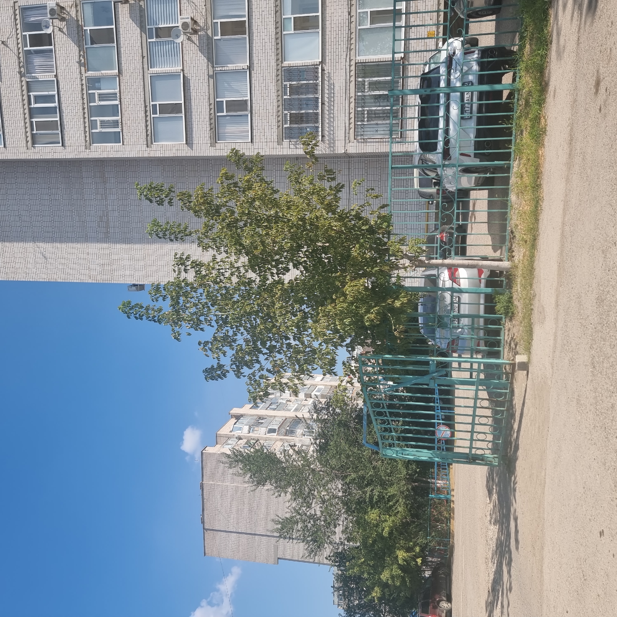 This is an eye-level, medium shot of a residential area in Aktobe, Kazakhstan, on a clear day. In the foreground, a green metal fence runs horizontally across the image, with a gate slightly ajar on the right. Beyond the fence, a paved area with shadows from trees is visible, leading to parked cars. The cars include a silver sedan with license plate 36 ANF 04, a white SUV with license plate 177 ALN 4, and other vehicles partially obscured. A young deciduous tree with green leaves stands in front of the fence. Behind the tree and fence are two multi-story apartment buildings constructed of light-colored brick. The building on the right has multiple windows, air conditioning units, and balconies. The building on the left is taller and has a slightly different architectural style. Trees with green foliage are also visible between and in front of the buildings, suggesting a well-established residential environment. The sky is bright blue with a few white clouds.