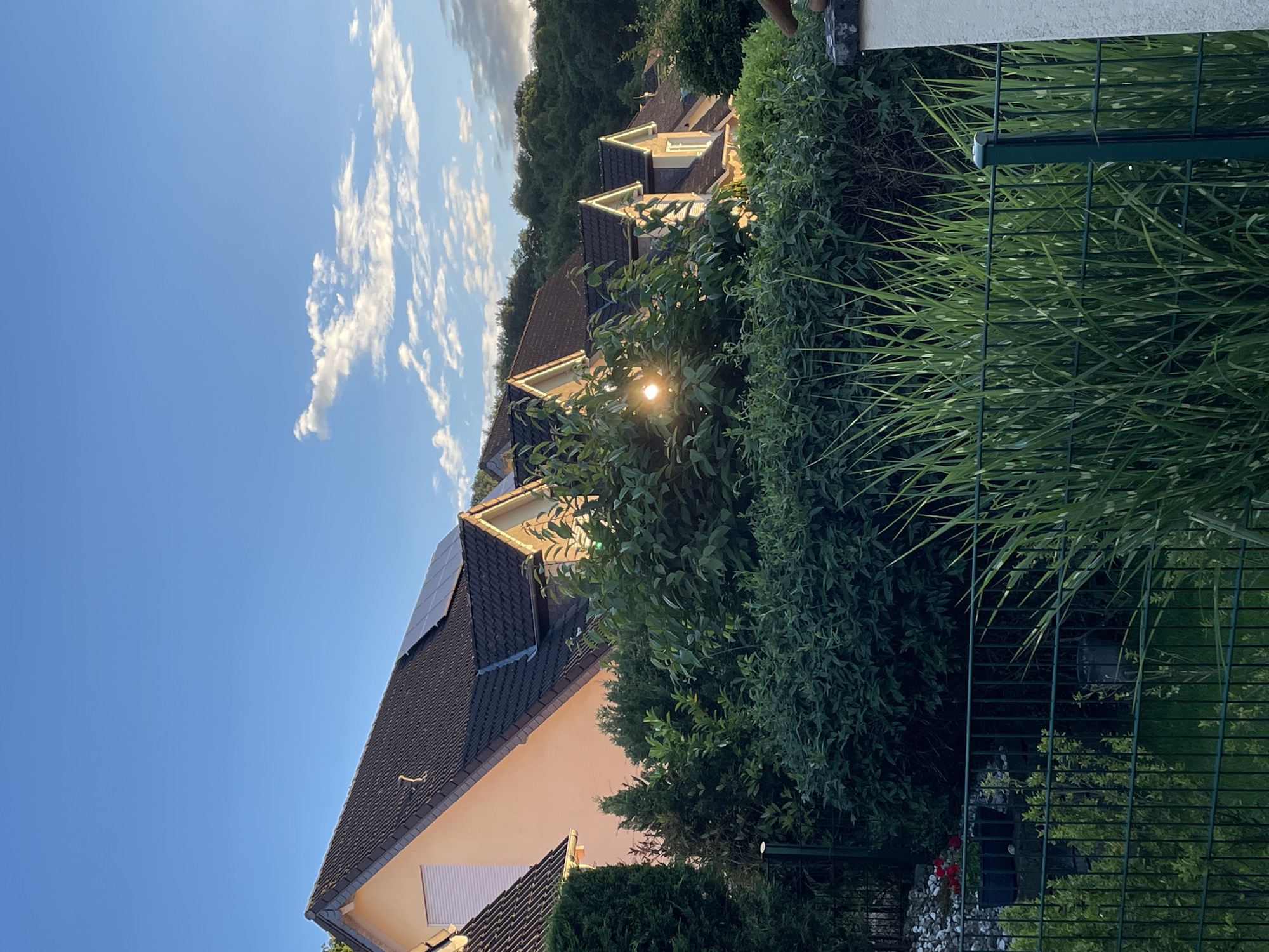 The image shows a view of several houses with dark tiled roofs, some equipped with solar panels, set against a backdrop of lush green trees and a blue sky with scattered clouds. The sun is visible, casting a warm glow on the houses and trees, and is partially obscured by foliage, creating a sunburst effect. In the foreground, a dark green metal fence runs horizontally across the frame, with tall, green grass blades extending upwards and in front of it. Some red flowers and potted plants are visible behind the fence, along with a small section of a white wall on the right side of the image. The scene appears to be from a residential area in Hennef, Germany, likely during the late afternoon or early evening, given the lighting conditions. No people are visible in the image.