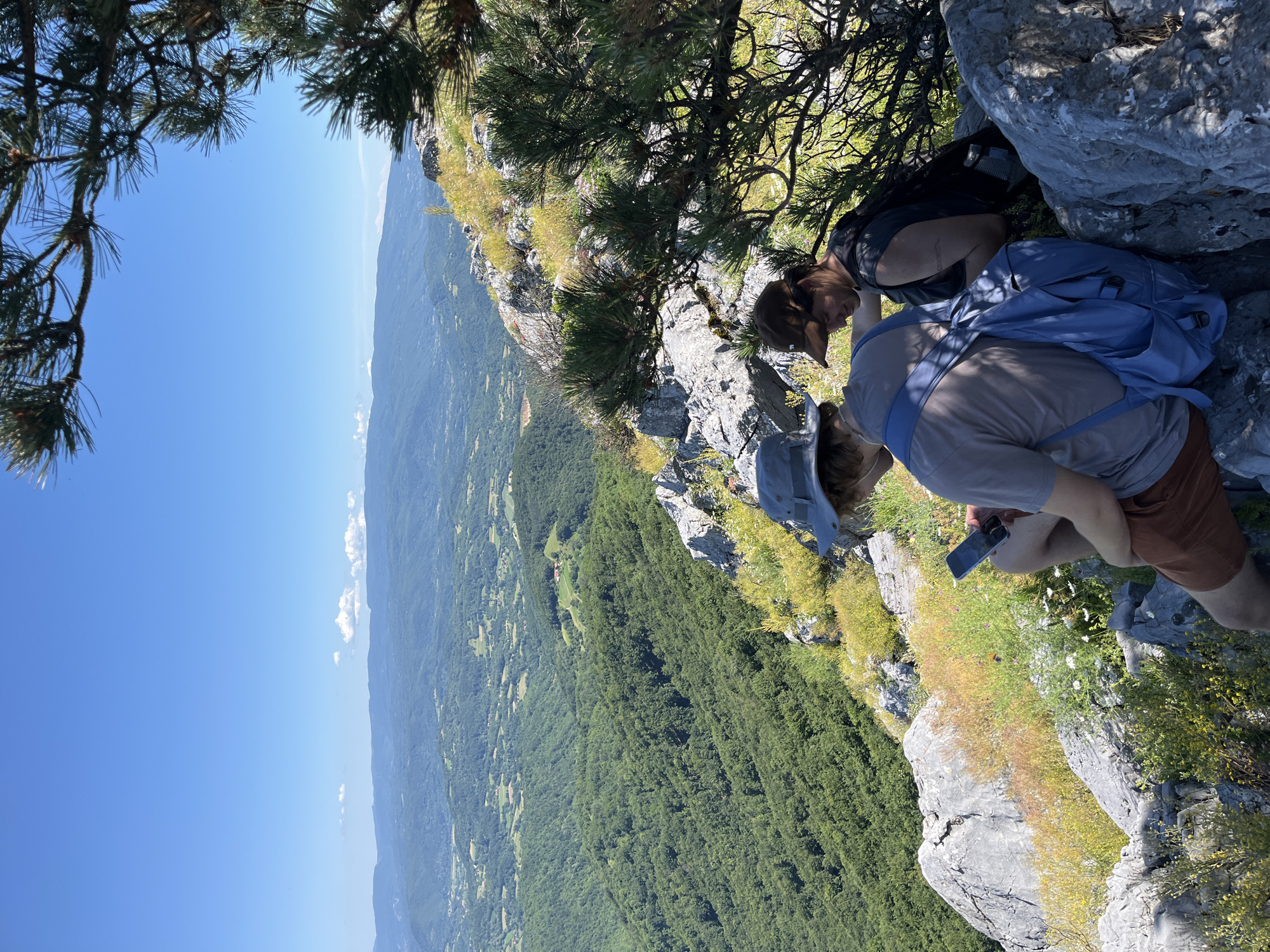 Two individuals are seated on a rocky outcrop overlooking a vast, verdant valley under a clear blue sky. The person on the left, wearing a grey hat and a light-colored t-shirt with a blue backpack, is looking down at a smartphone. The person on the right, wearing a brown hat and a dark t-shirt, is looking downwards, appearing to be interacting with the person on the left or something at their feet. The foreground is dominated by grey rocks and sparse, dry vegetation with yellow and white wildflowers. A pine tree branch with needles extends into the upper right corner of the frame, casting dappled shadows. The background reveals rolling hills covered in dense green forests, dotted with scattered buildings and agricultural fields, extending to distant, hazy mountain ranges. The location is believed to be in Petrovac-na-Mlavi Municipality, Serbia, given the context.