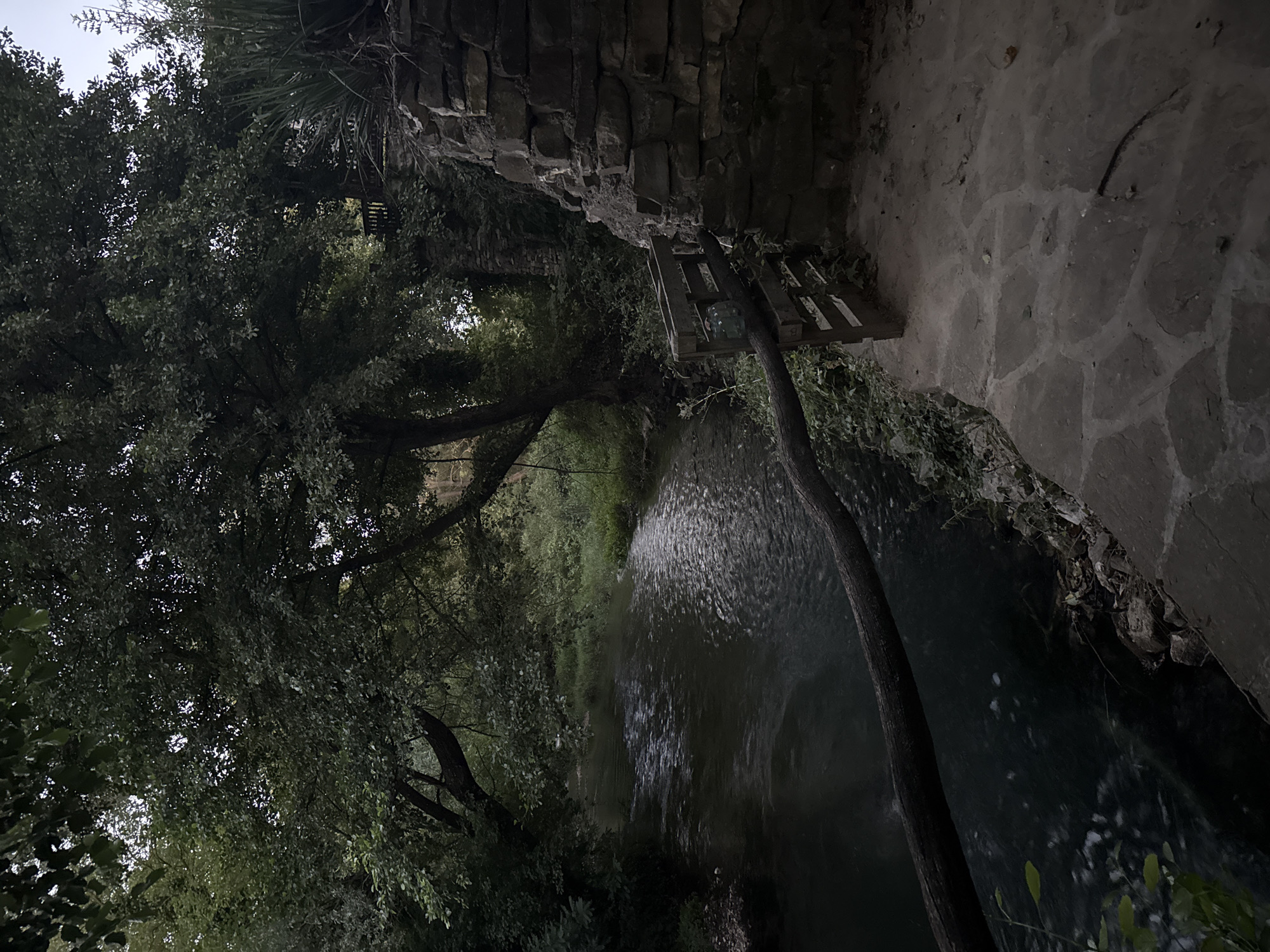 A calm, dark river flows through a lush, wooded area in Petrevene, Bulgaria. The water is partially shaded by the dense canopy of trees, creating a serene and somewhat mysterious atmosphere. On the right bank of the river, a stone wall rises, forming a textured barrier. Adjacent to the wall, a rustic wooden fence with a gate stands, suggesting a path or an entrance. The ground in front of the wall and fence is paved with irregular, flat stones, forming a walkway. A fallen tree branch extends diagonally across the river, adding a natural element to the scene. The overall lighting suggests it is either early morning or late evening, with soft shadows and subdued colors. There are no people or animals visible in the image.